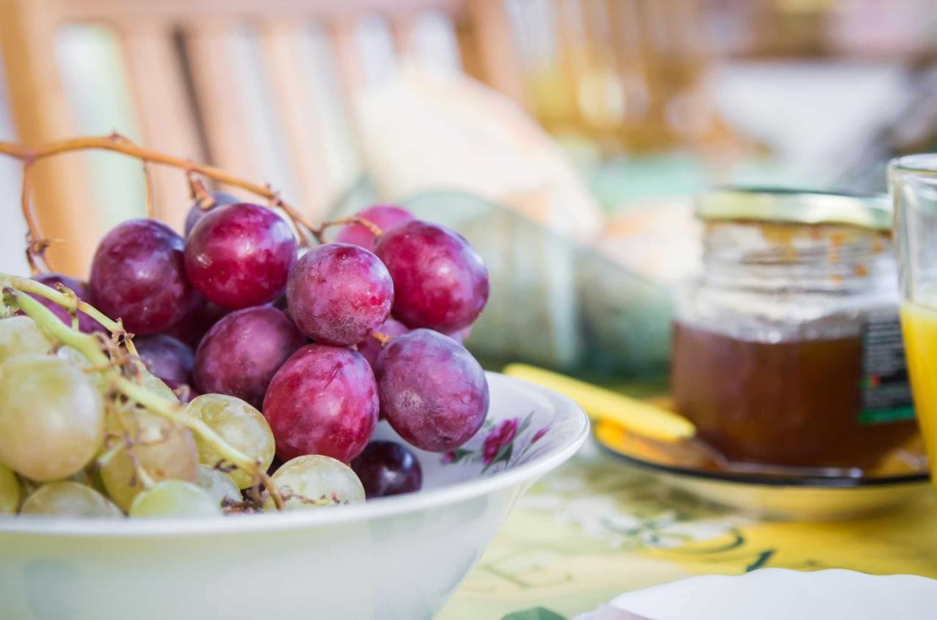 Gift card for Oliveira Country House Gift card for Oliveira Country House