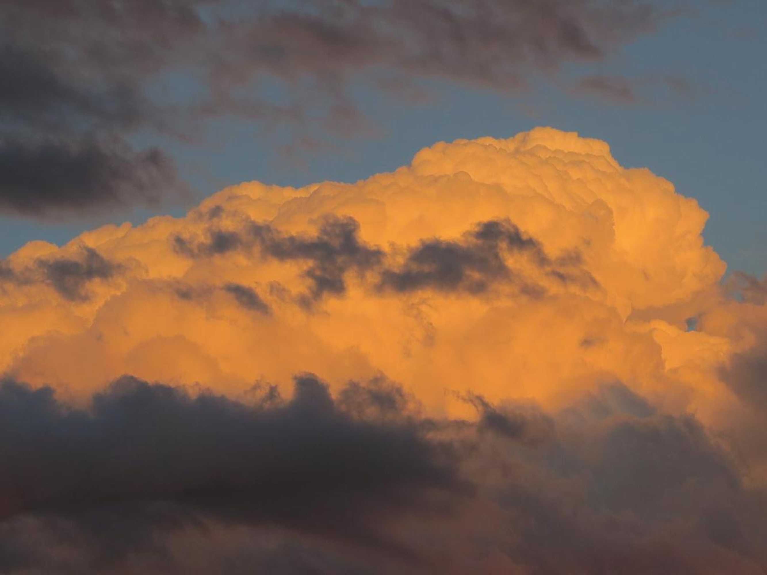 Gift card for Haus St.michael