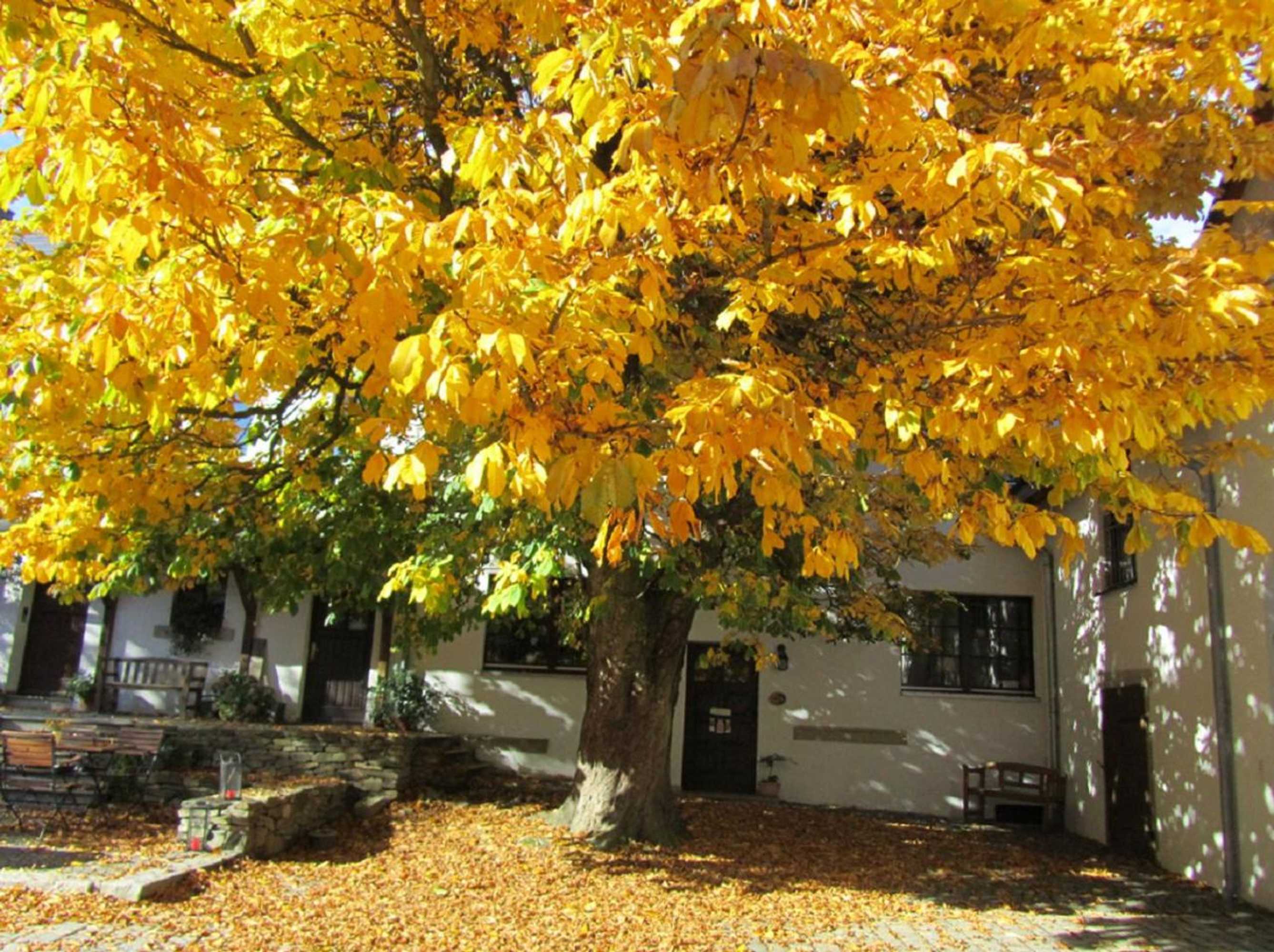 Gift card for Bio Ferienhof Erzengel