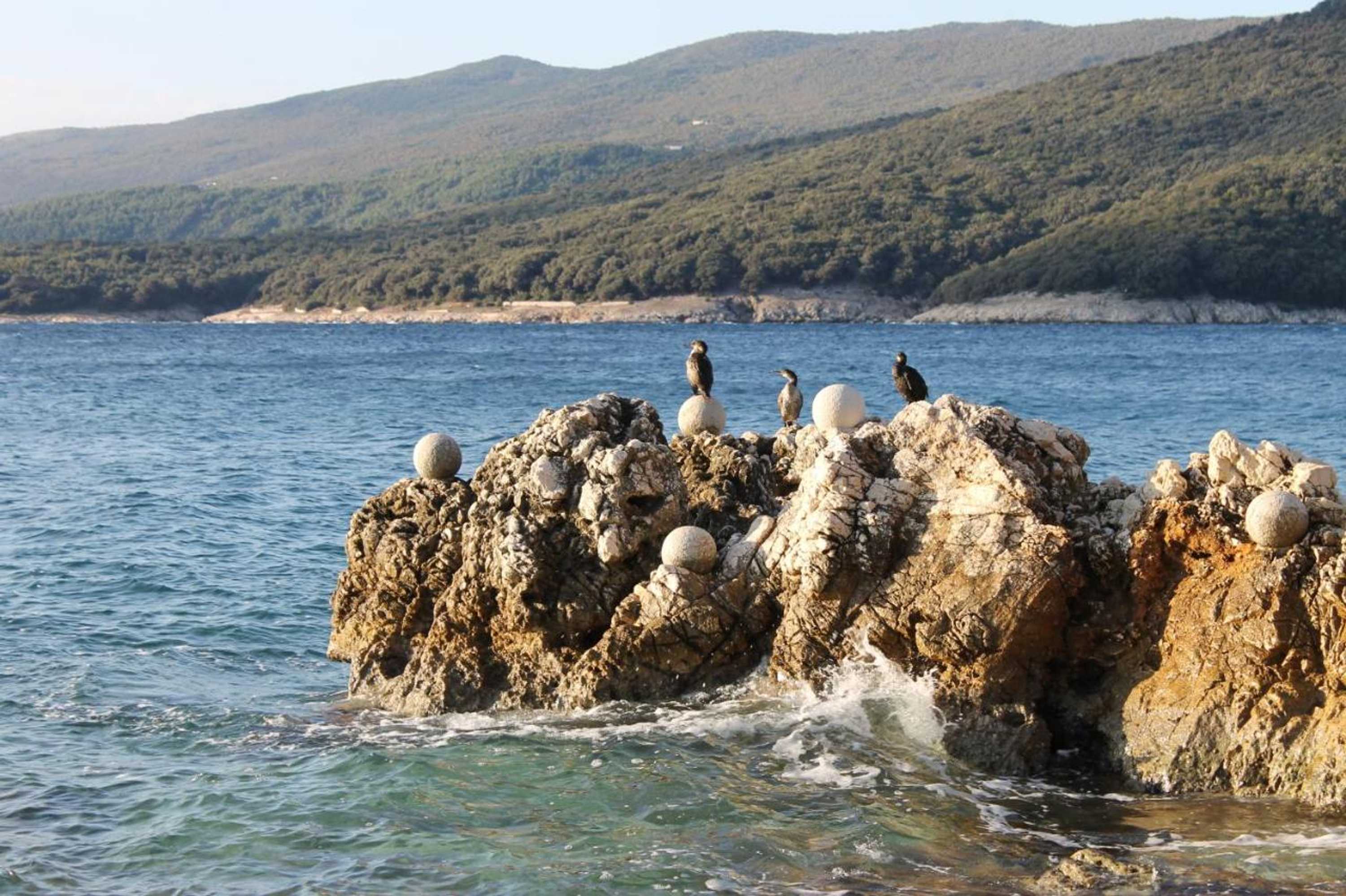 Gift card for Apartments Mareblu