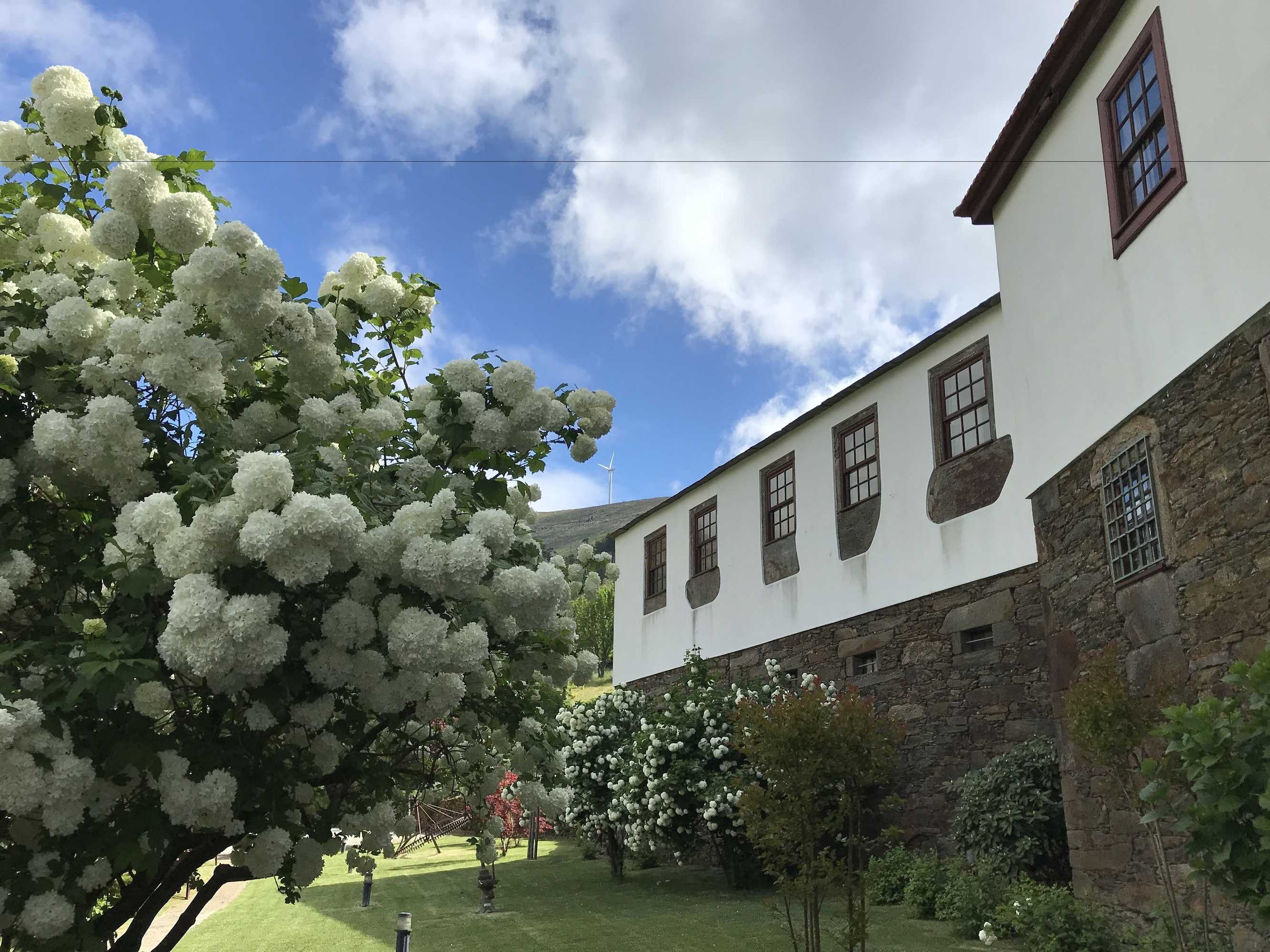 Gift card for Casa do Monte Gift card for Casa do Monte