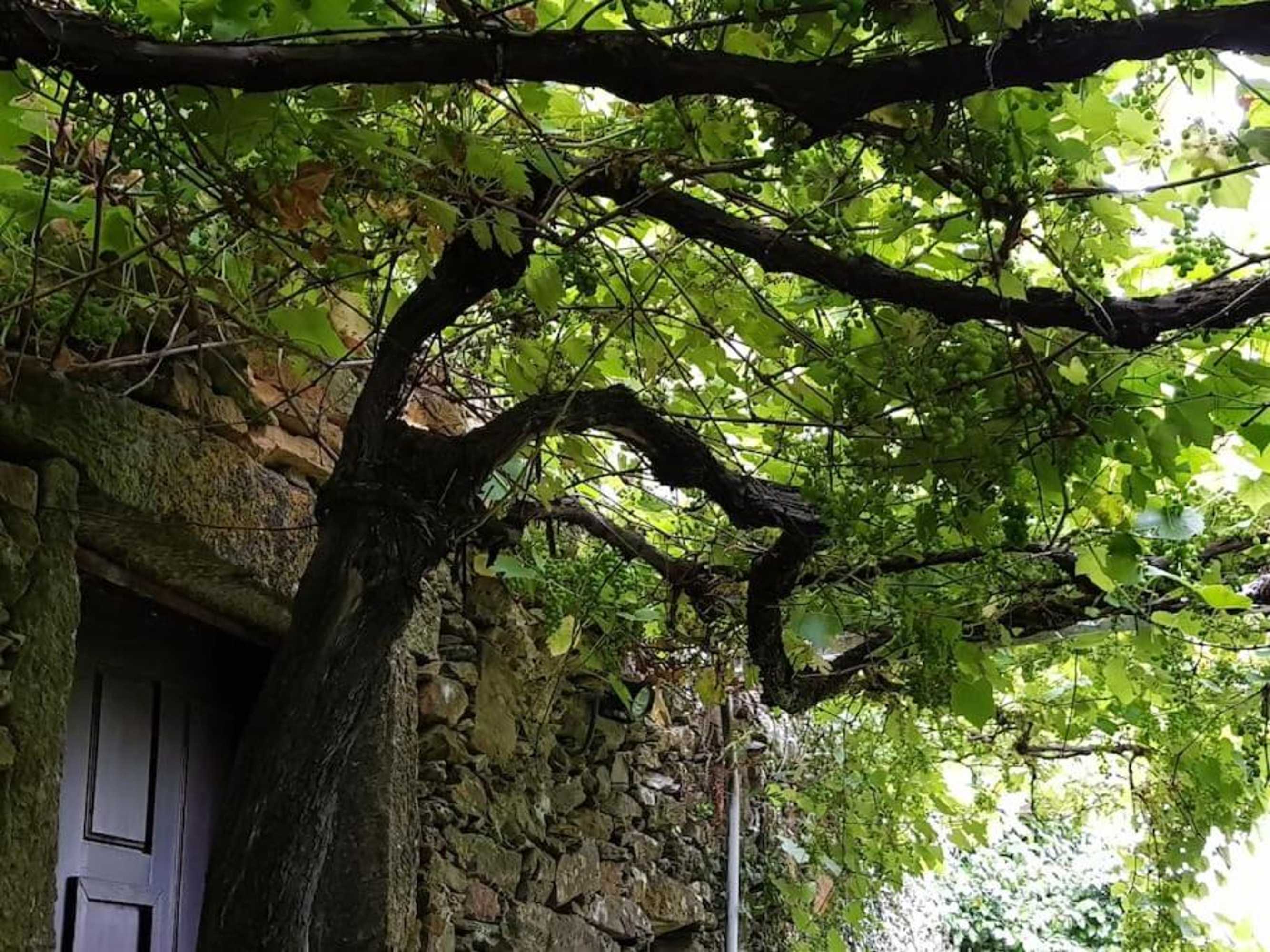 Gift card for A Cancela House Arouca Paiva Walkways