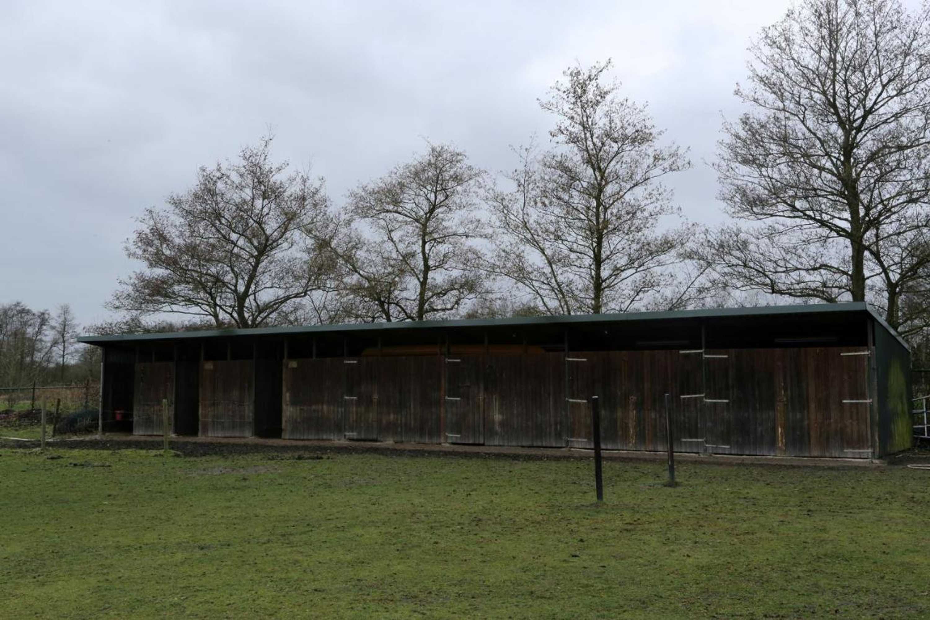 Gift card for B&b Dream On Wheels