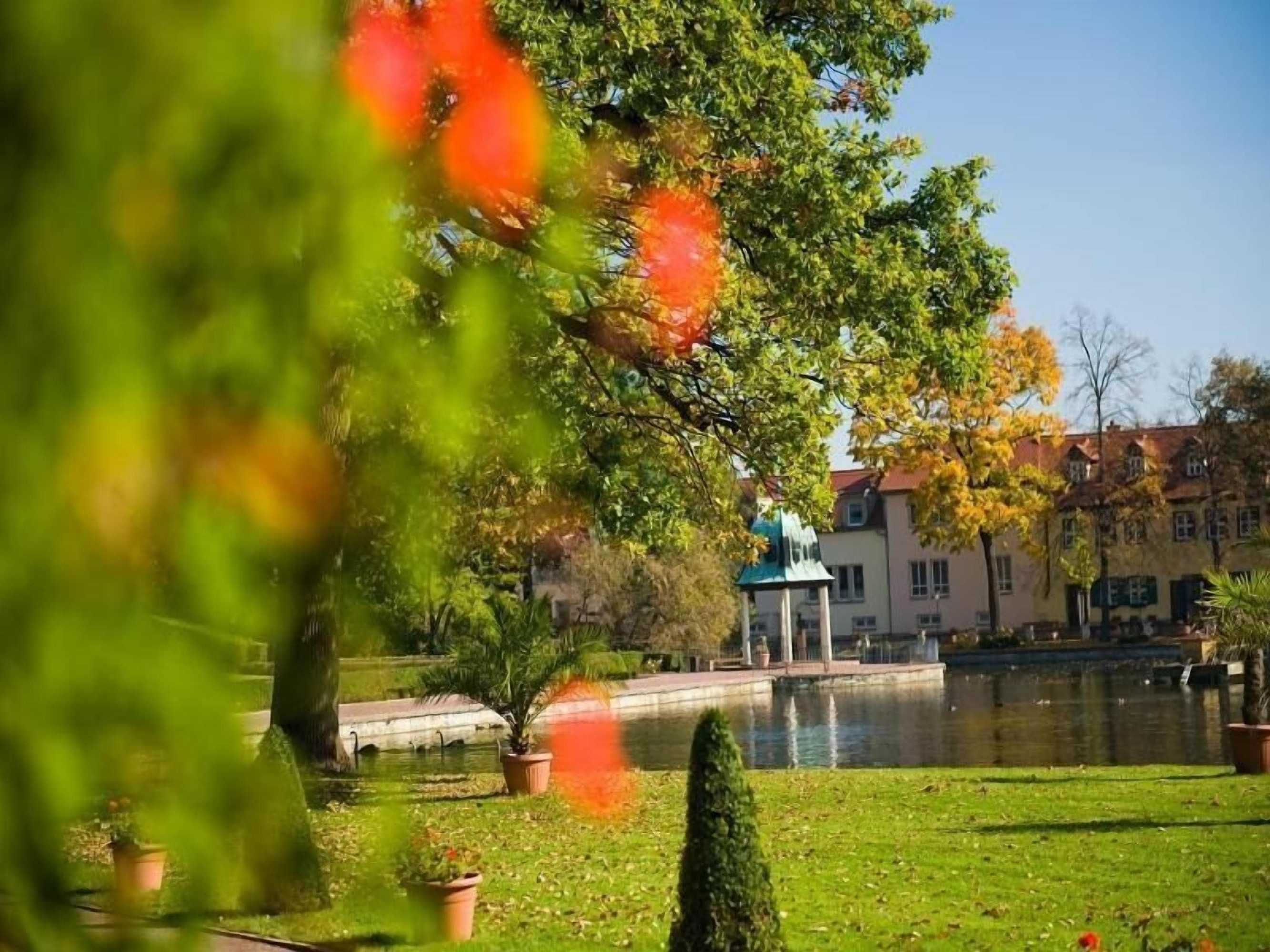 Gift card for Kurpark Hotel