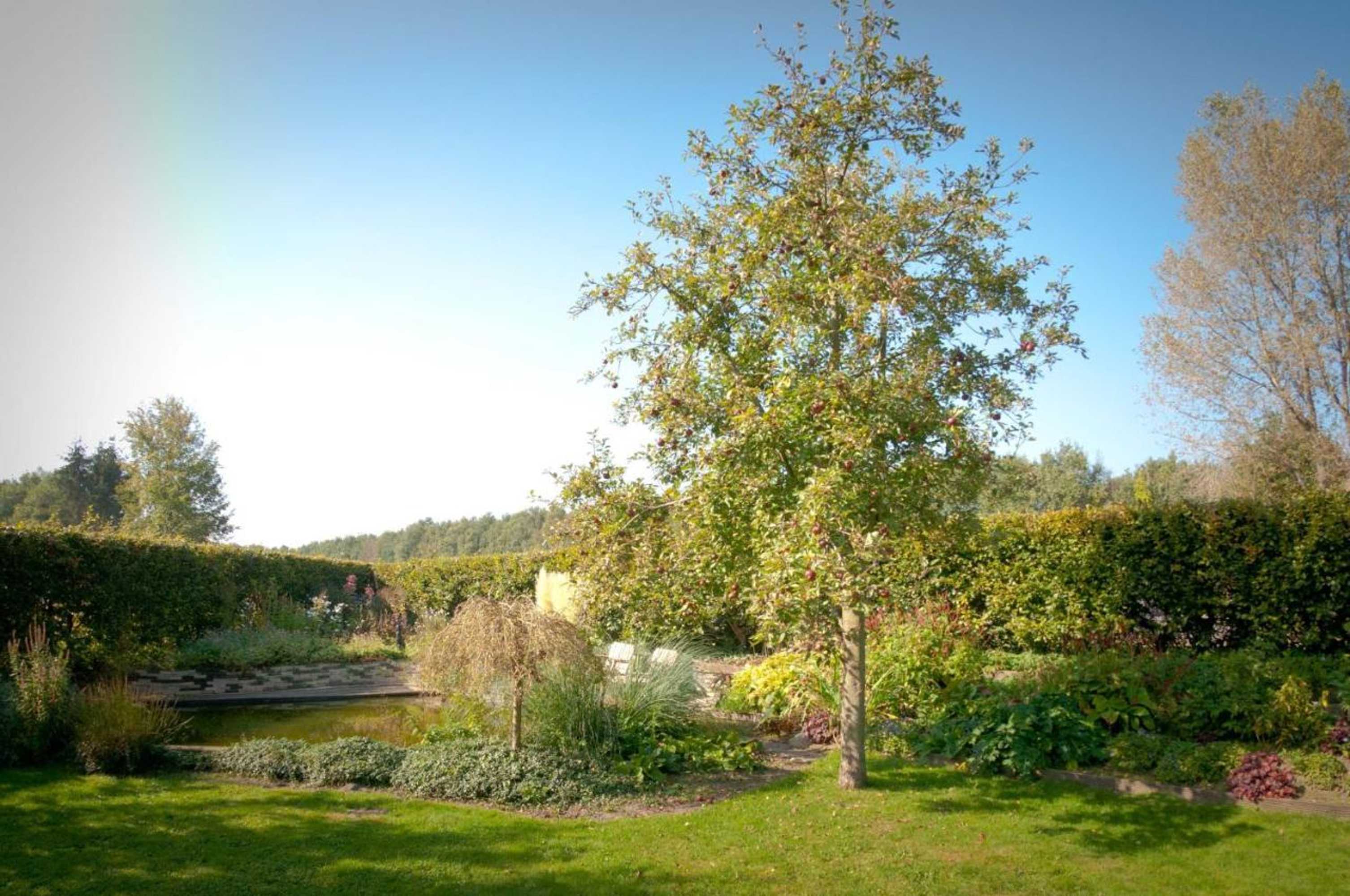 Gift card for Bed And Breakfast De Violier