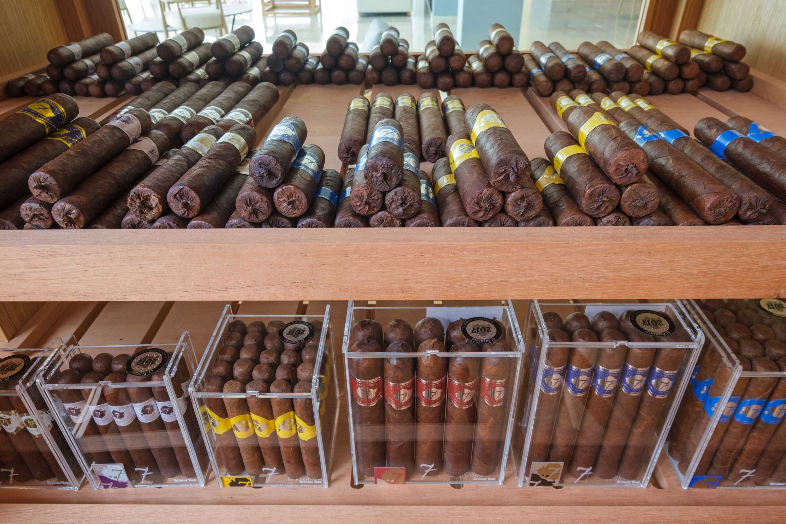 Gift card for Malibu Foz Hotel - La Maison Younan