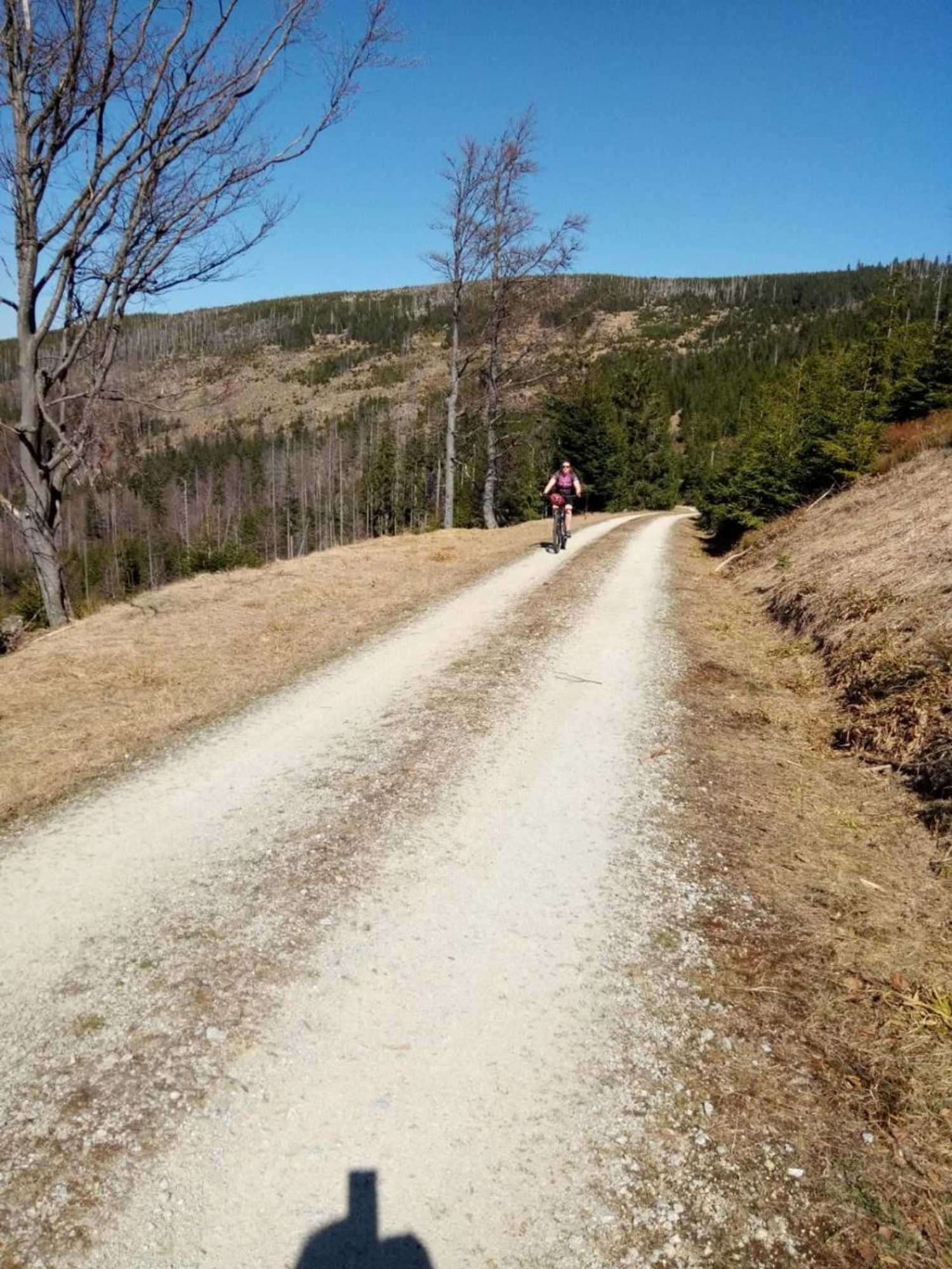 Gift card for Hotel Zur Waldbahn