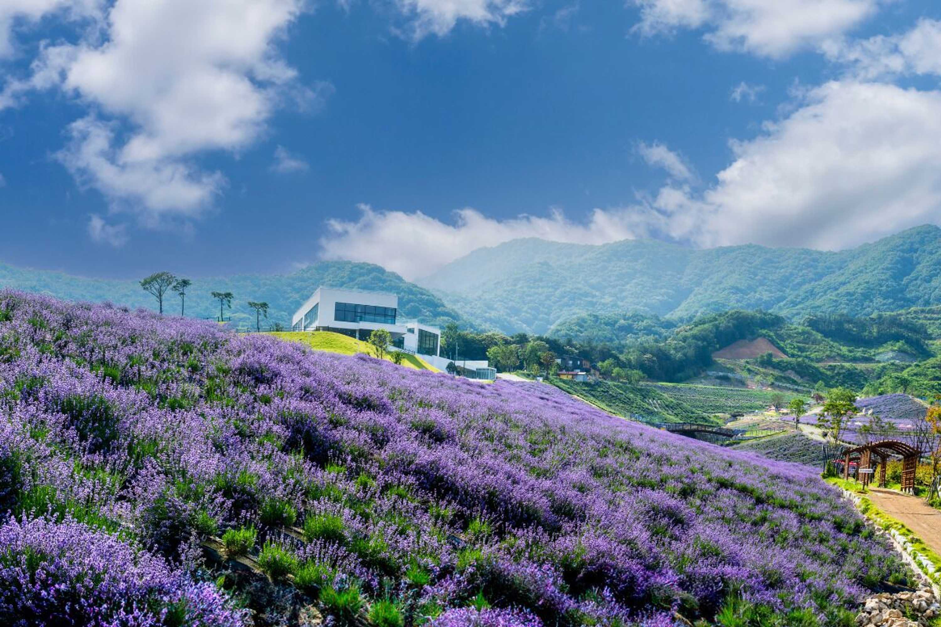 Gift card for Kuau Plaza Paia Condo With Parking