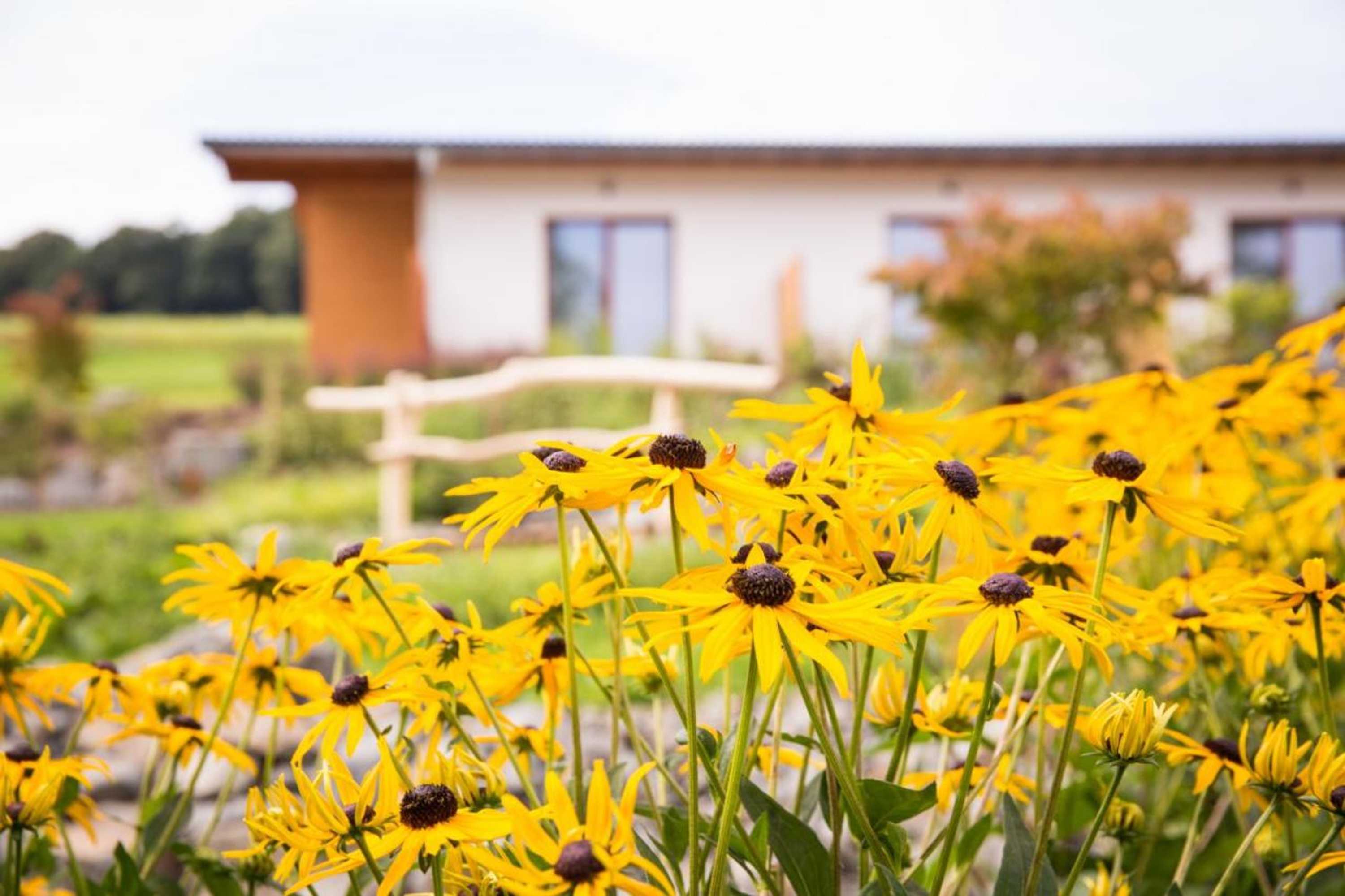 Gift card for Hotel Zur-Borke