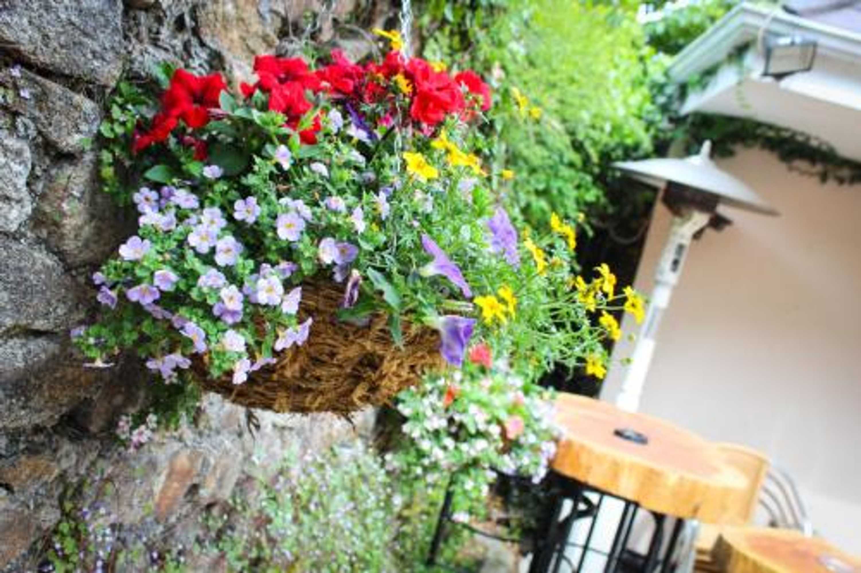 Gift card for The Enniskerry Inn Gift card for The Enniskerry Inn