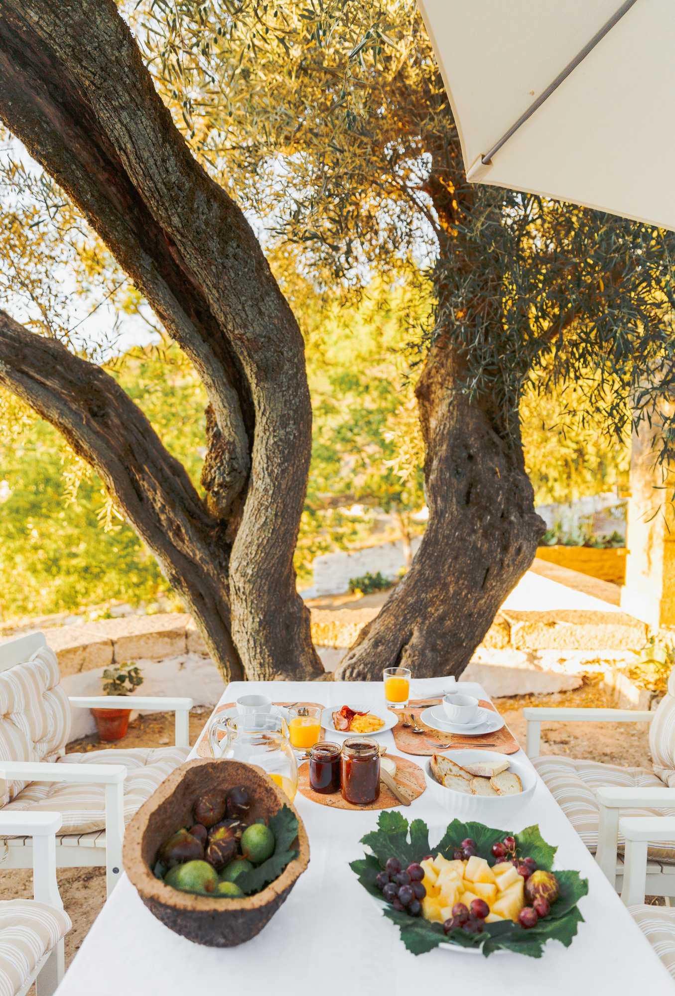 Gift card for Quinta do Valdalágea Gift card for Quinta do Valdalágea