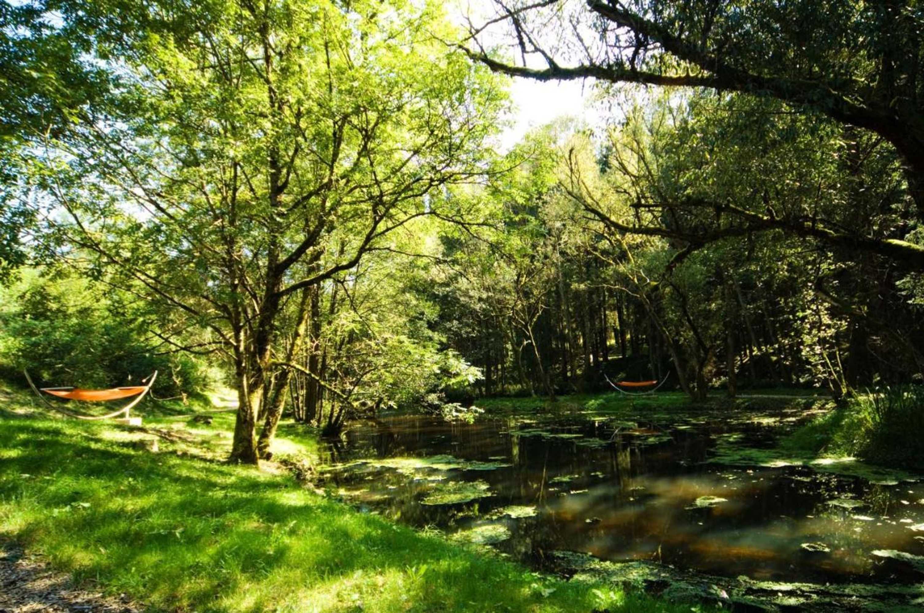 Gift card for Forstgut - Premium Waldchalets Und Lodge Suiten