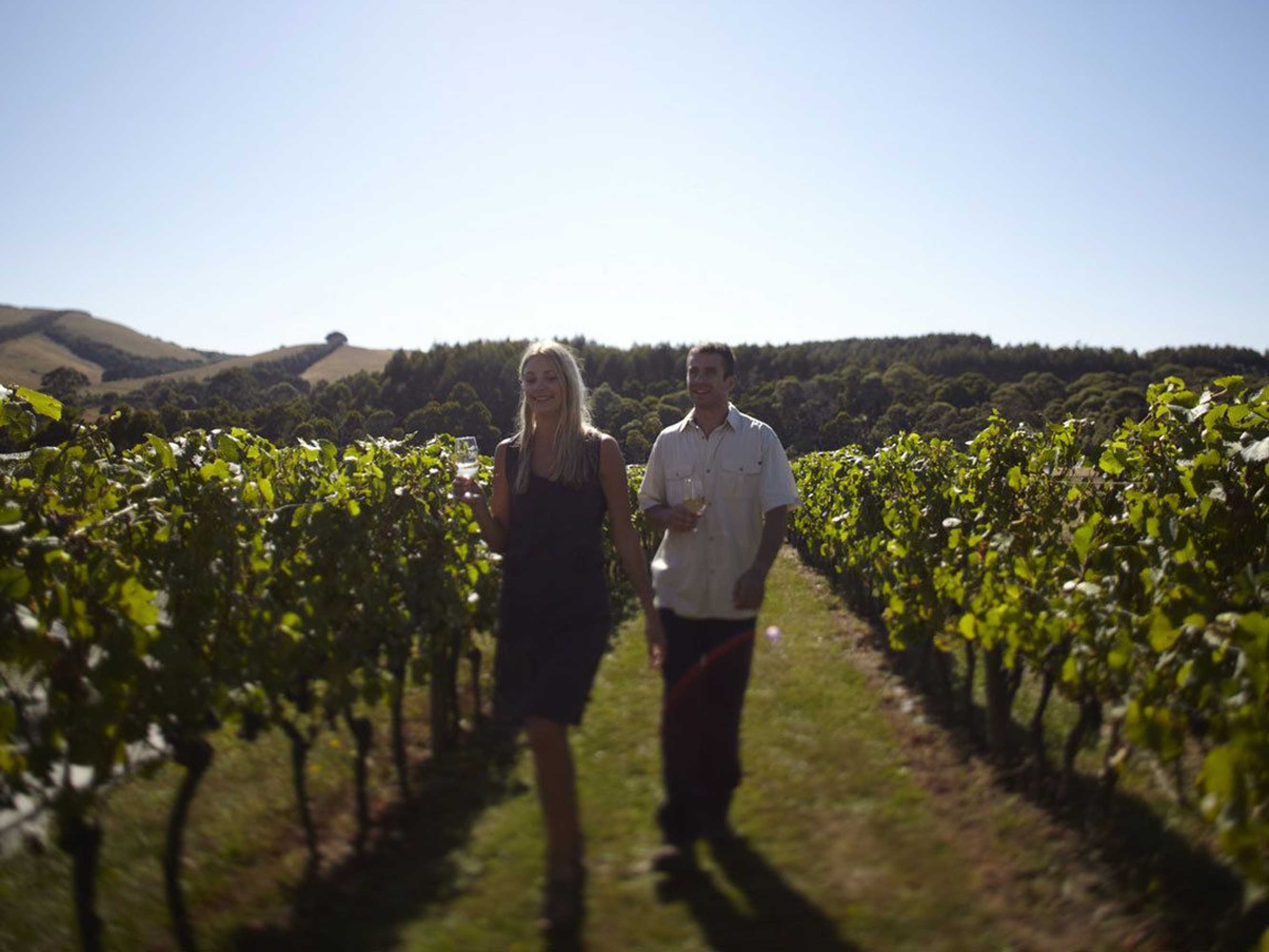 Gift card for Prom Coast Apartments