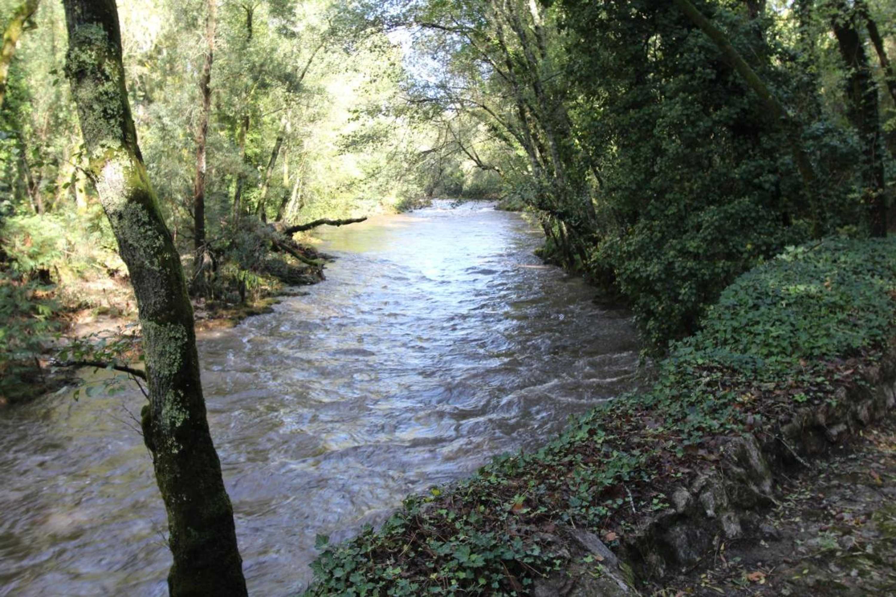 Gift card for Casa Rio Vez - Riverfront