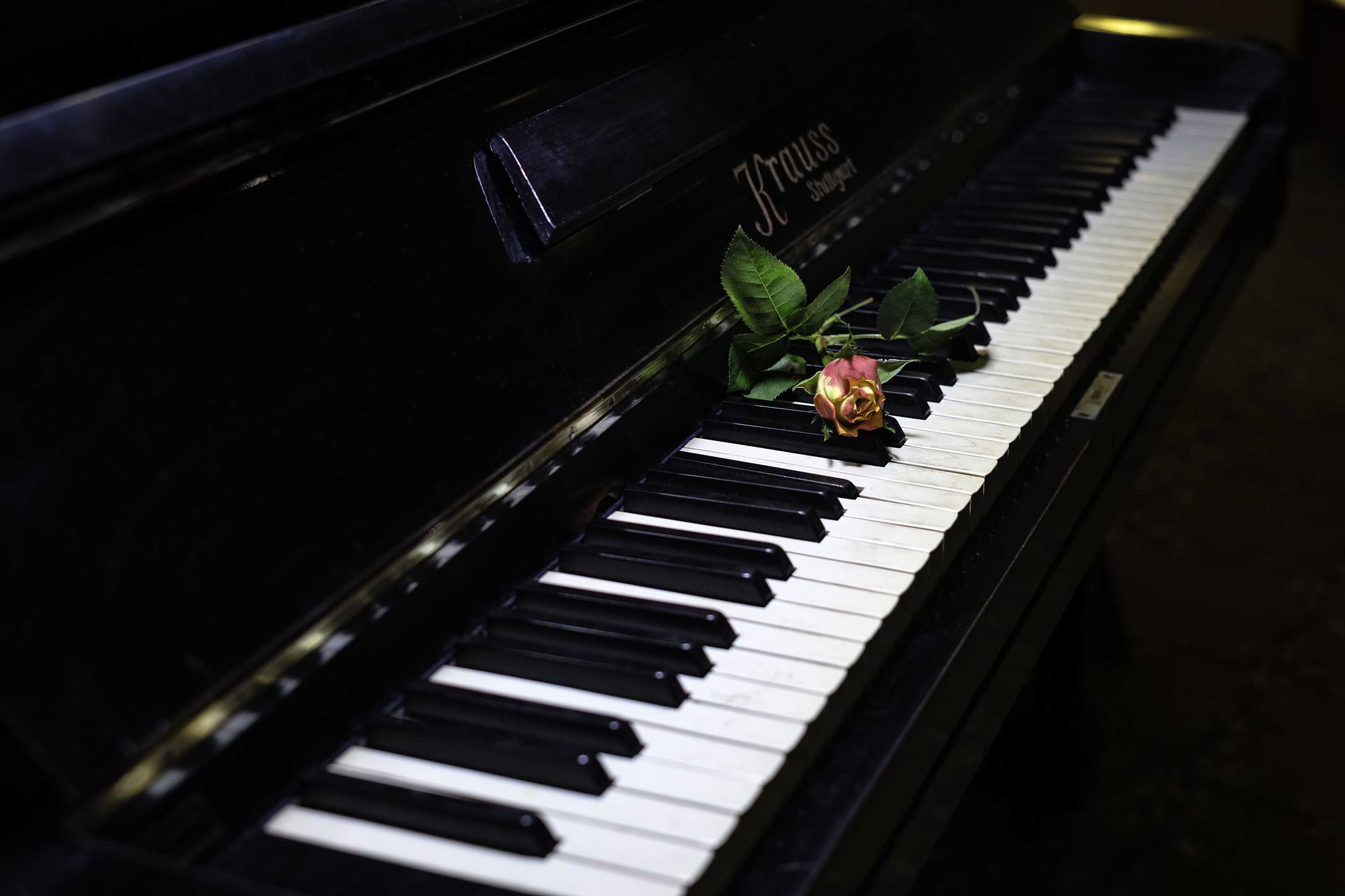 Gift card for Hotel Orologio