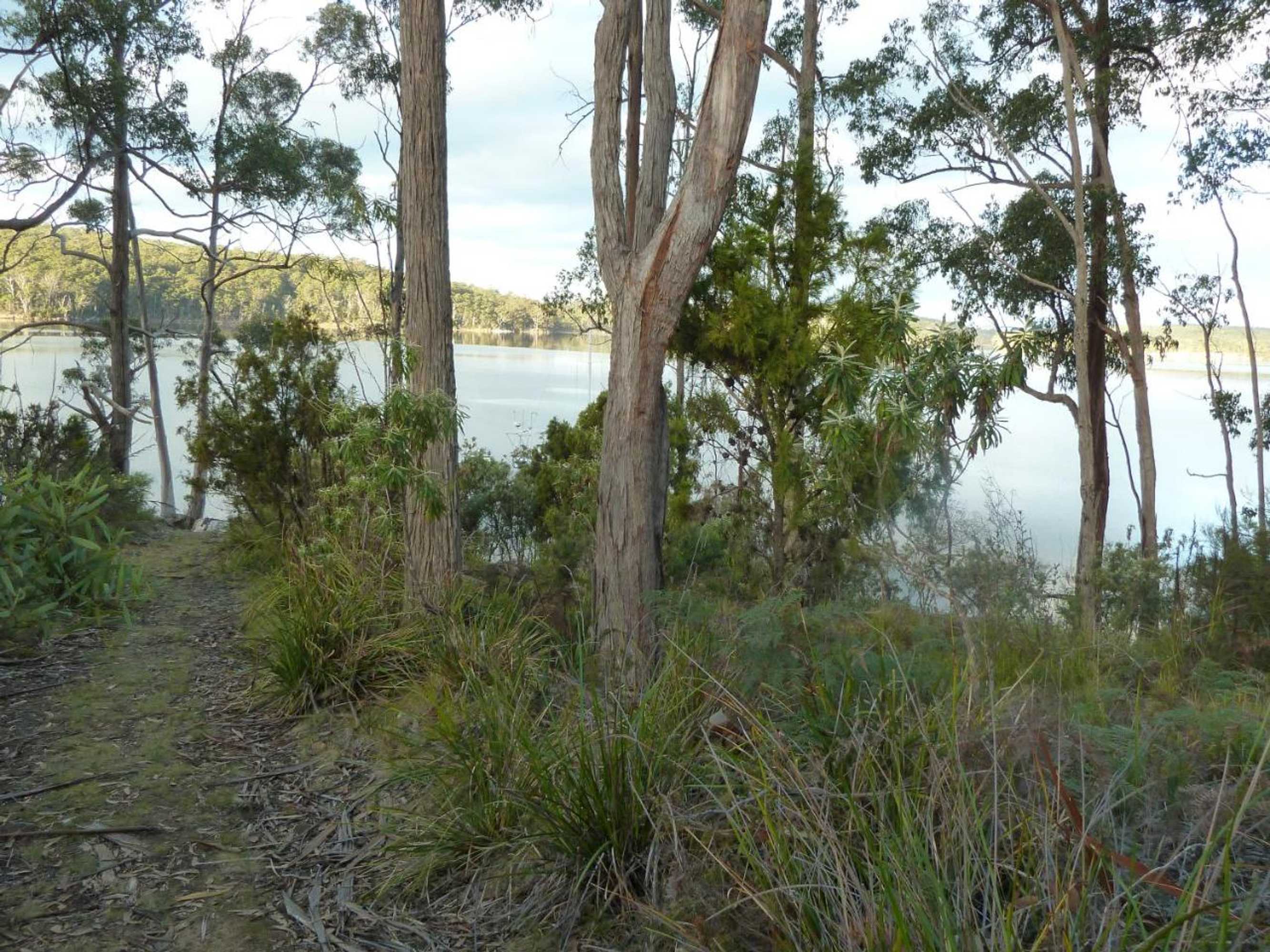 Gift card for Oyster Shack