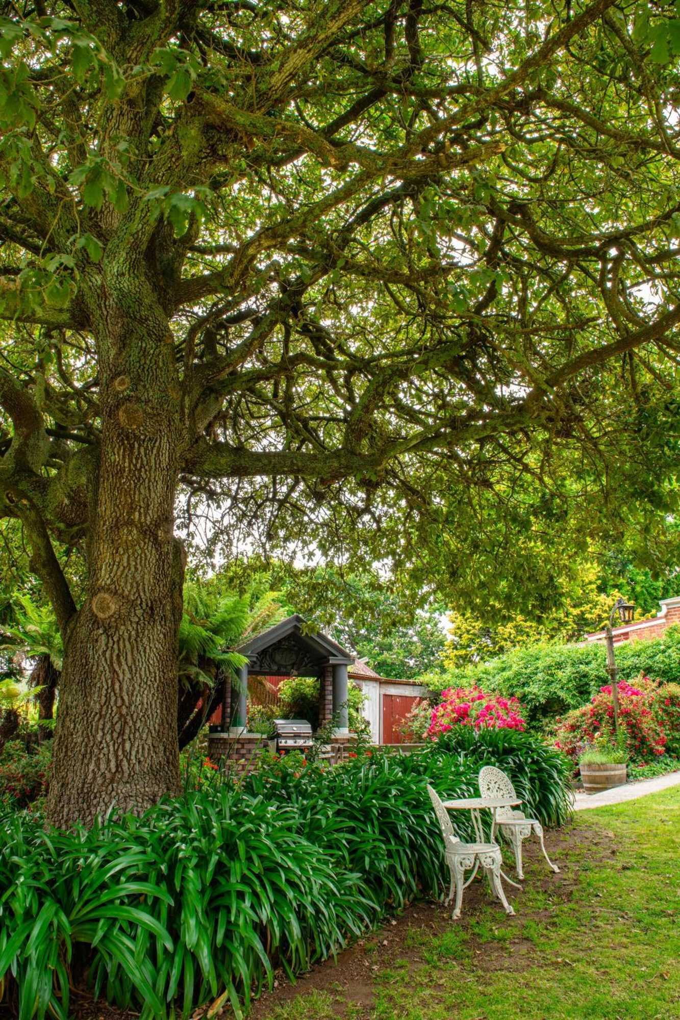 Gift card for Alexandria Bed & Breakfast Gift card for Alexandria Bed & Breakfast