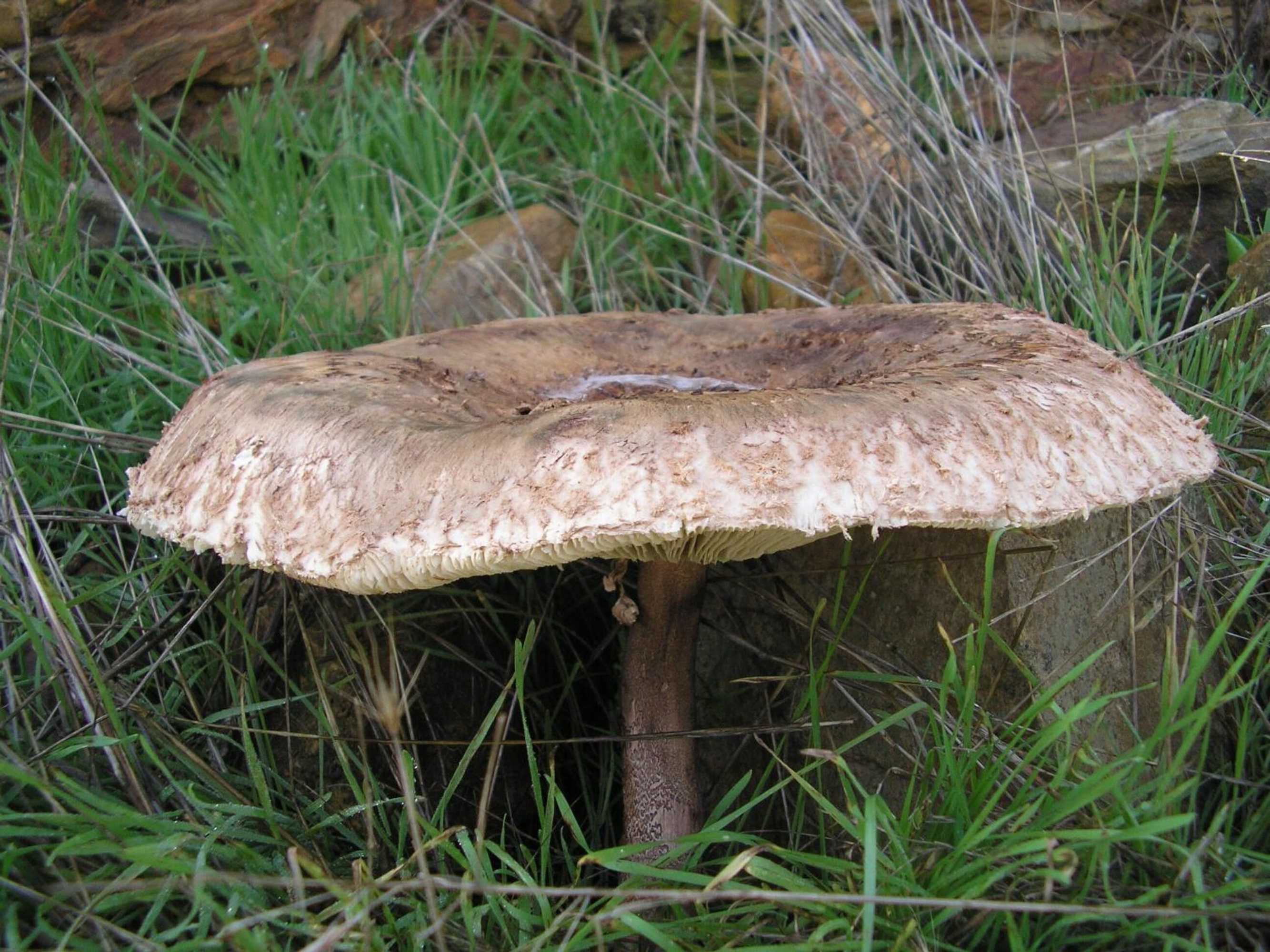 Gift card for Casa Rural Sierra San Mamede Gift card for Casa Rural Sierra San Mamede