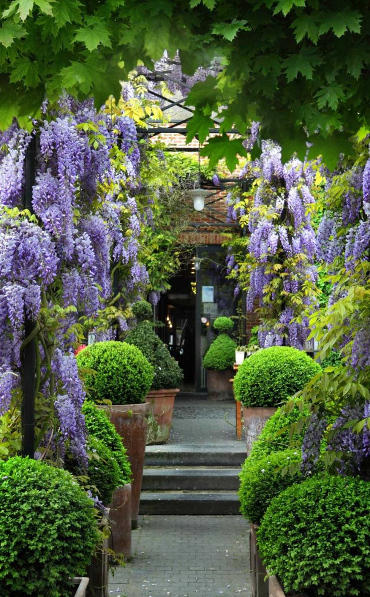 Gift card for Tuinhotel