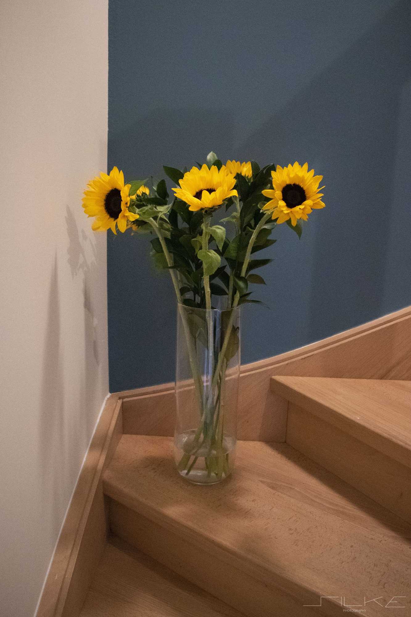 Gift card for De Loteling