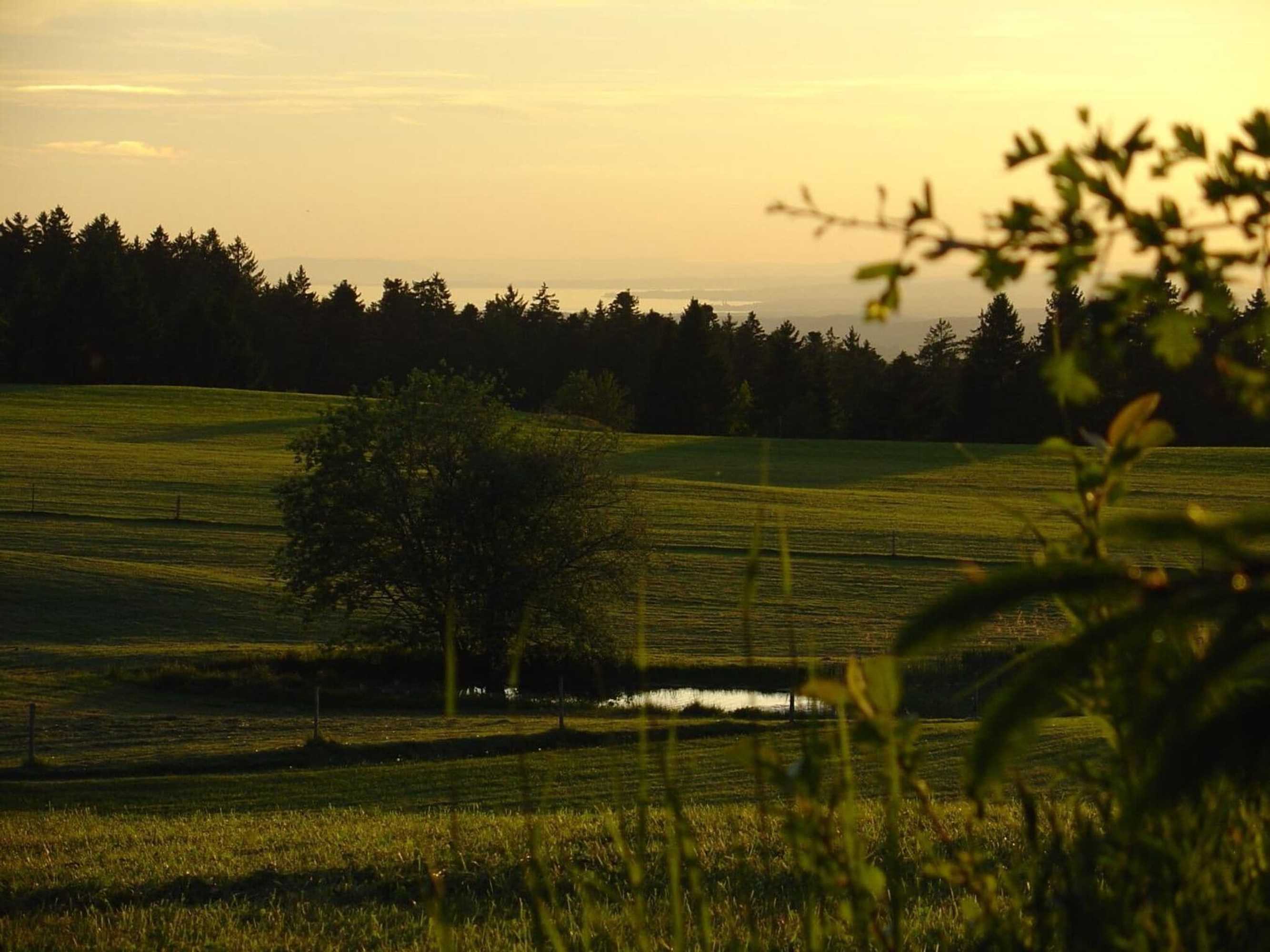 Gift card for Landhotel Herzberger