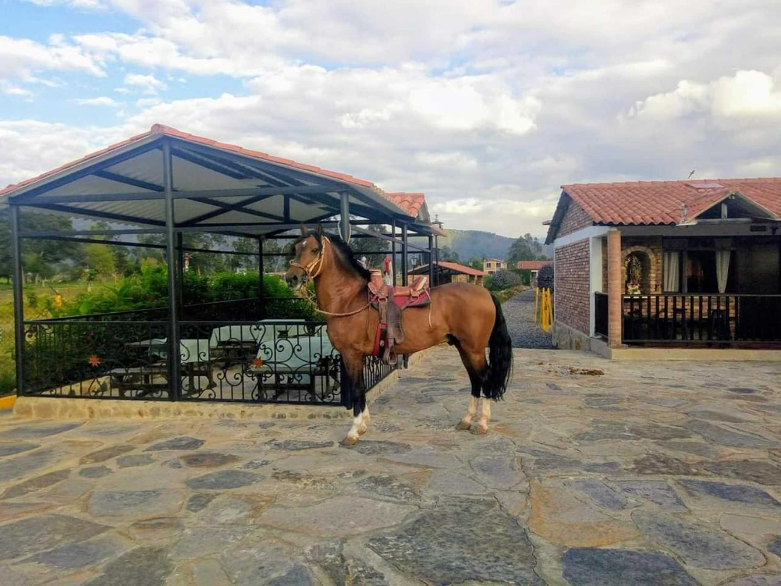 Gift card for Posadas San Antonio Campestre