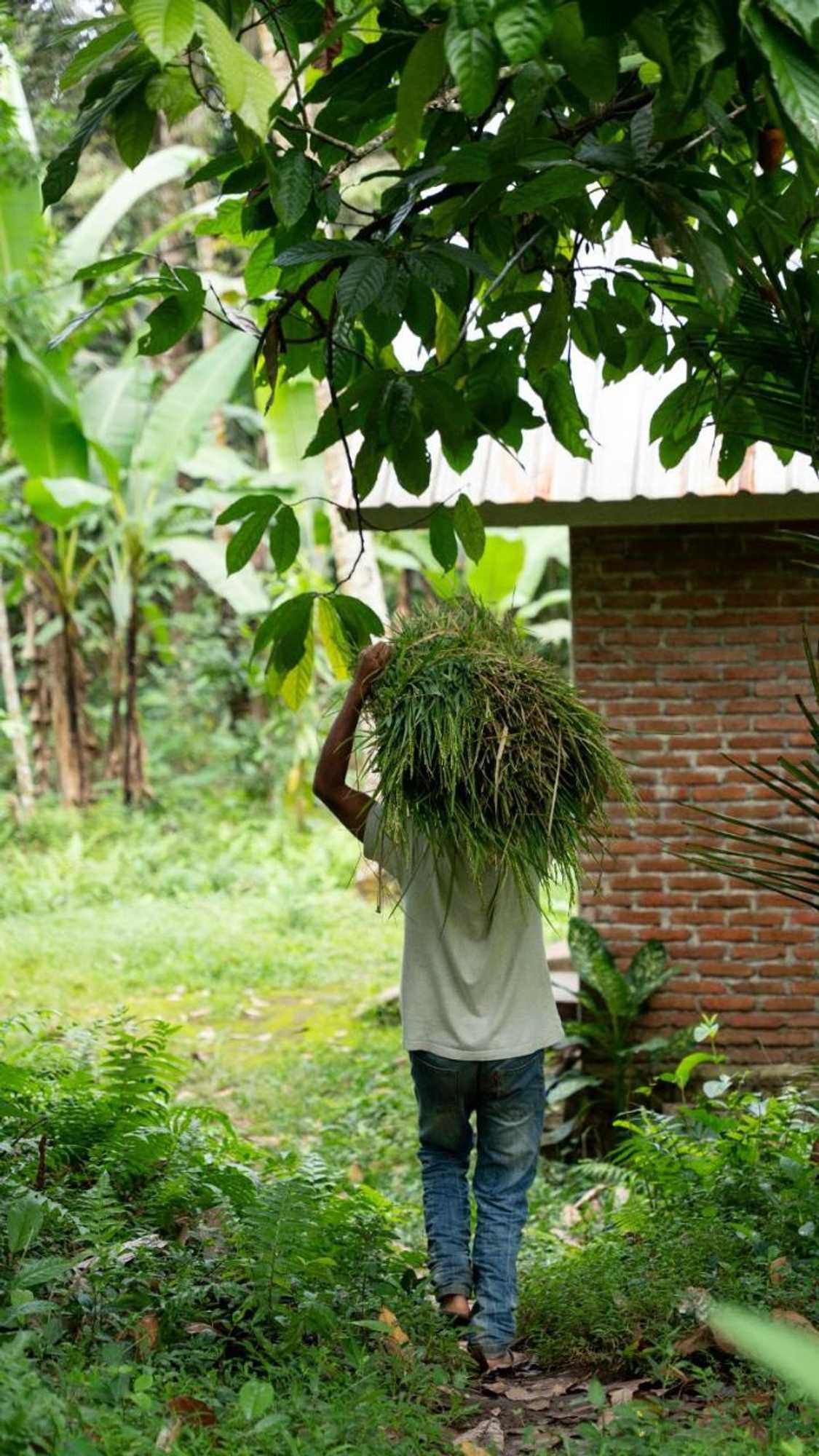 Gift card for Farmer Homestay