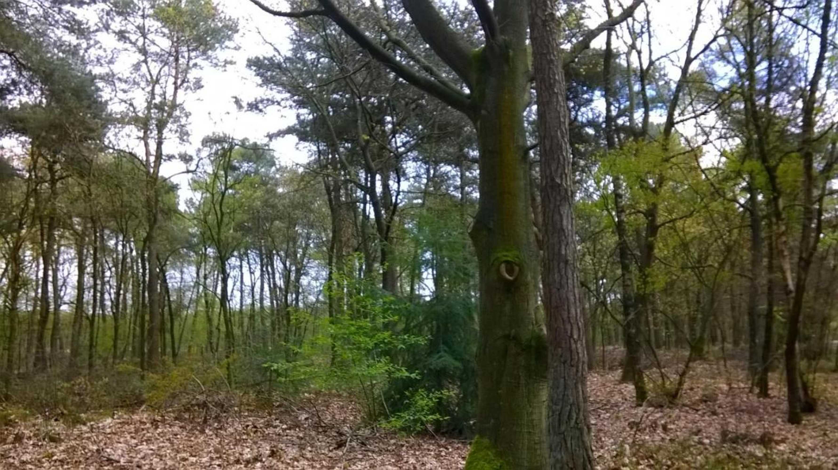 Gift card for Bed op de Reth