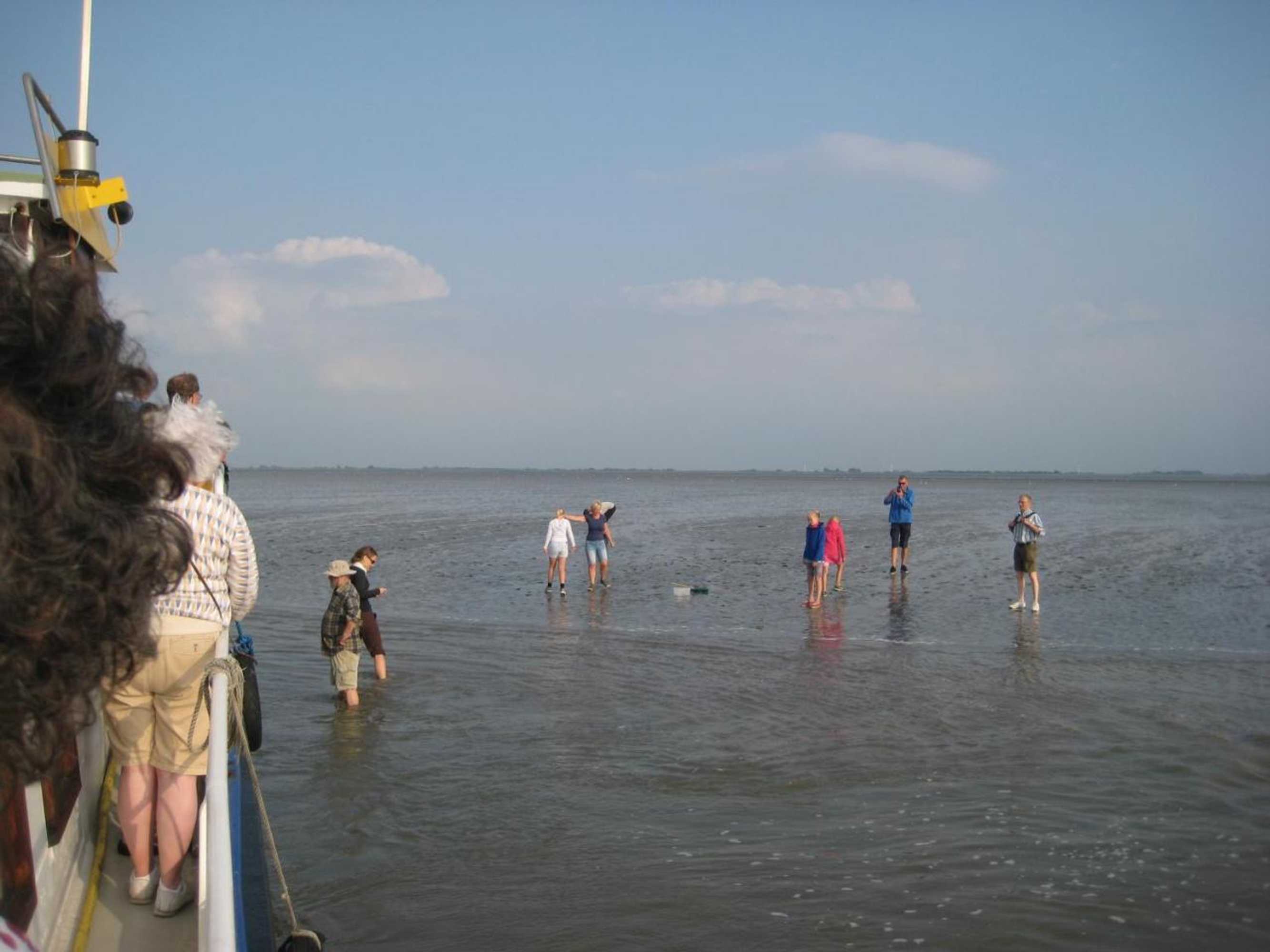 Gift card for B&b 'T Skoalhûs