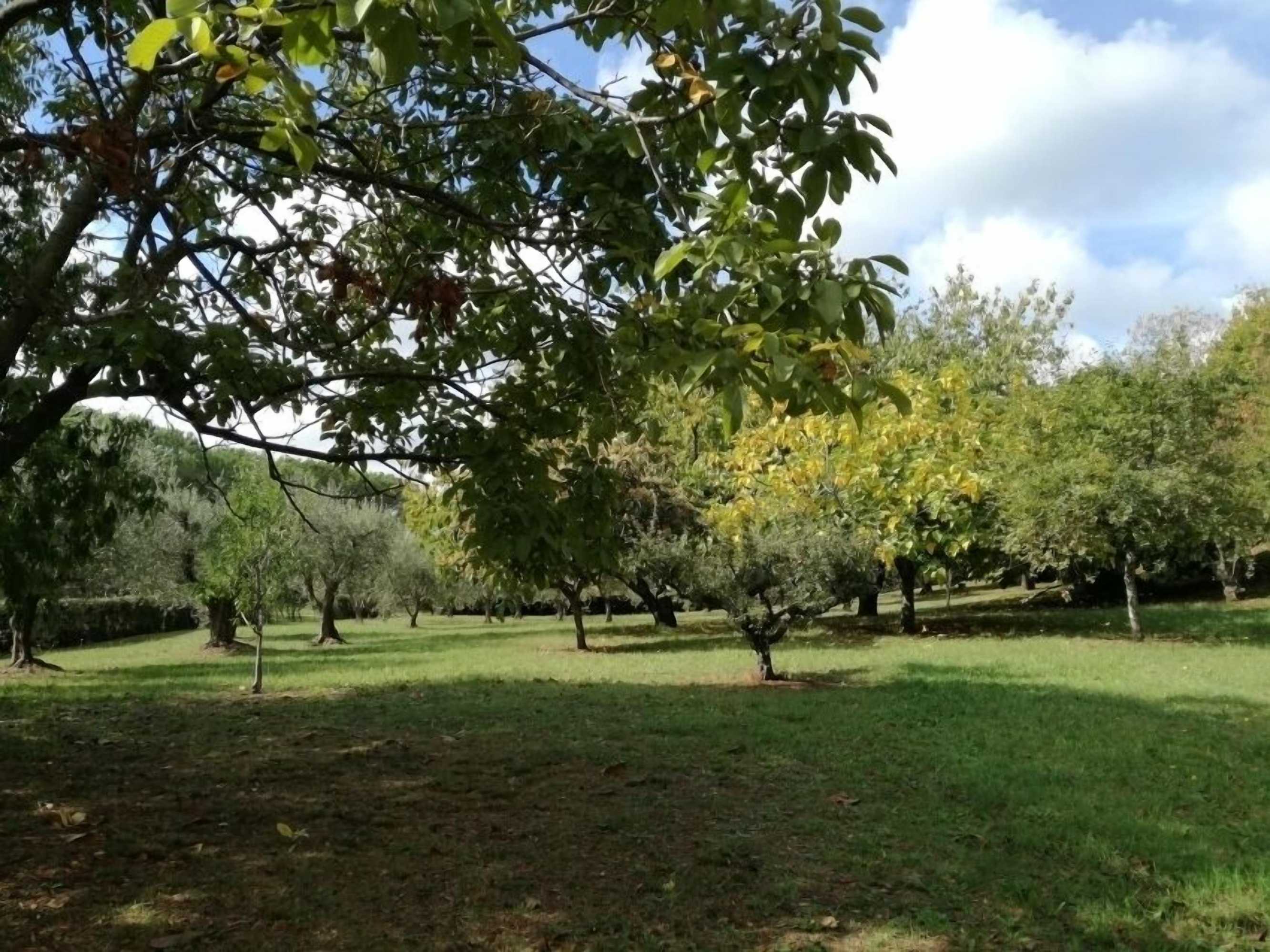 Gift card for B&b Vigna Dell'agrifoglio Gift card for B&b Vigna Dell'agrifoglio