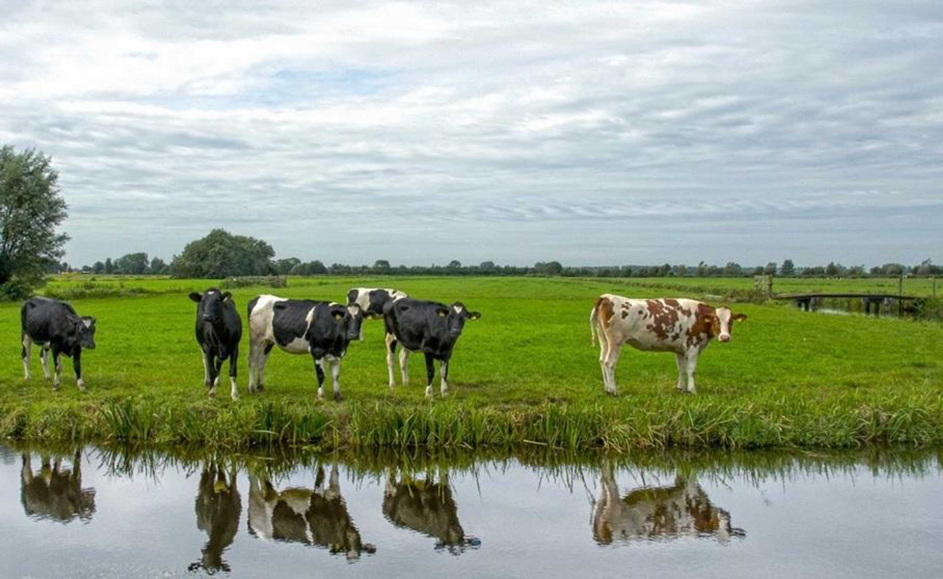 Gift card for House of Cocagne