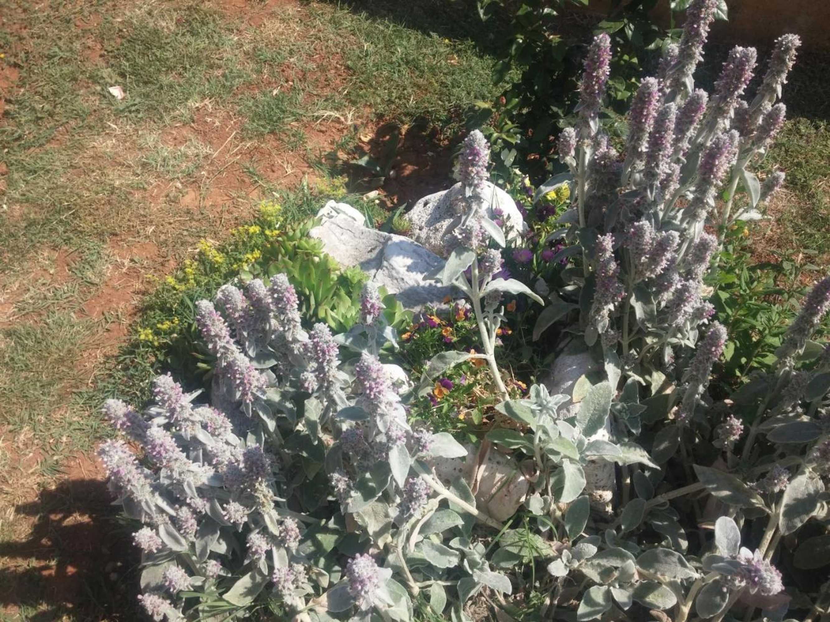 Gift card for Apartments Manuela