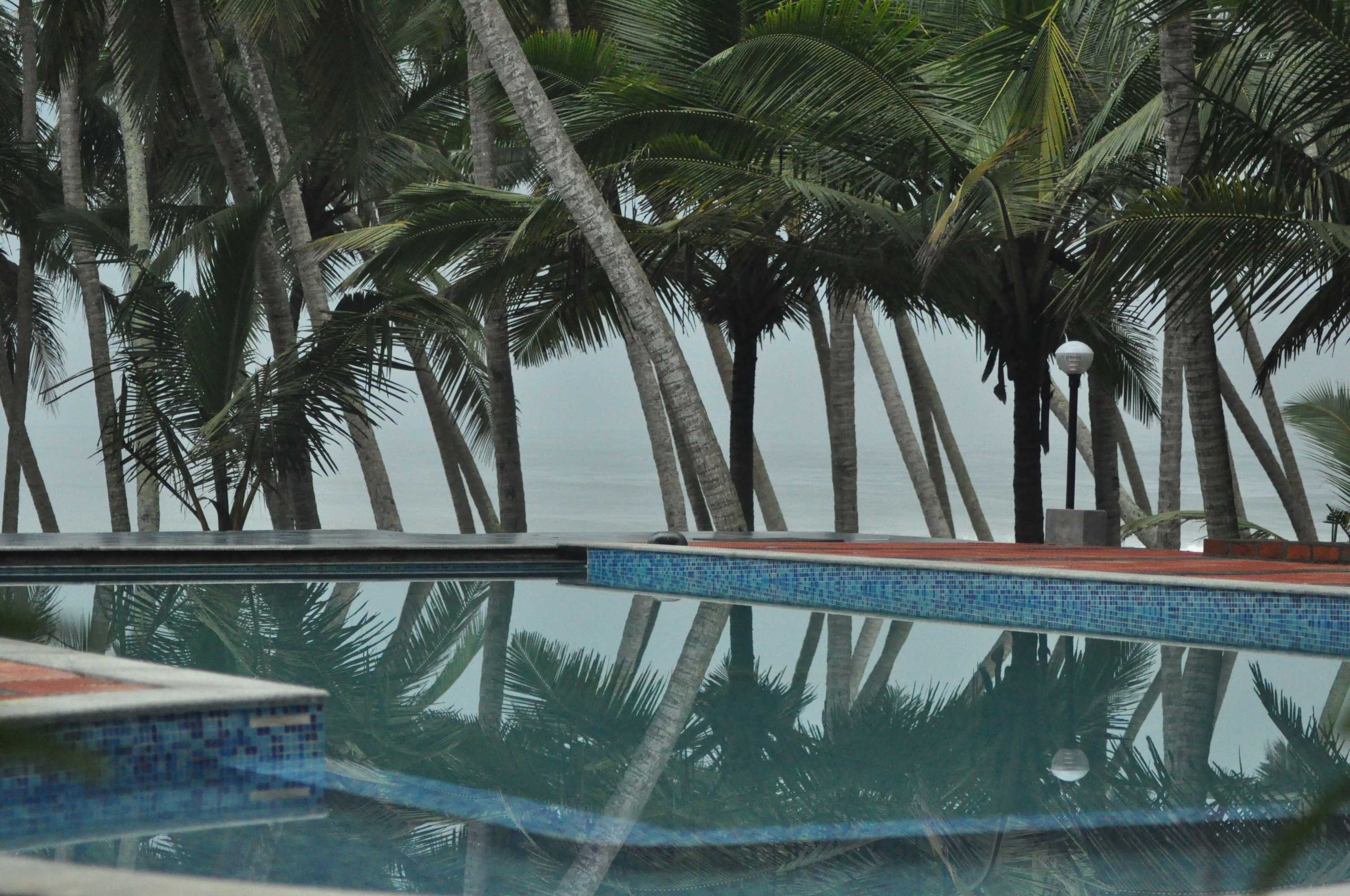 Gift card for Palmleaves Beach Resort Gift card for Palmleaves Beach Resort