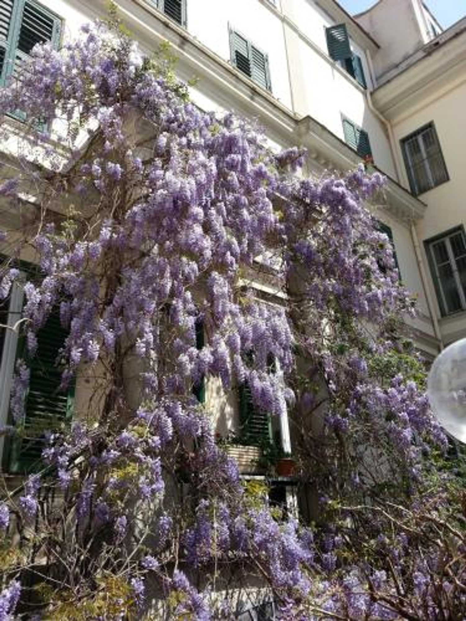 Gift card for Hotel Villa Aricia Gift card for Hotel Villa Aricia