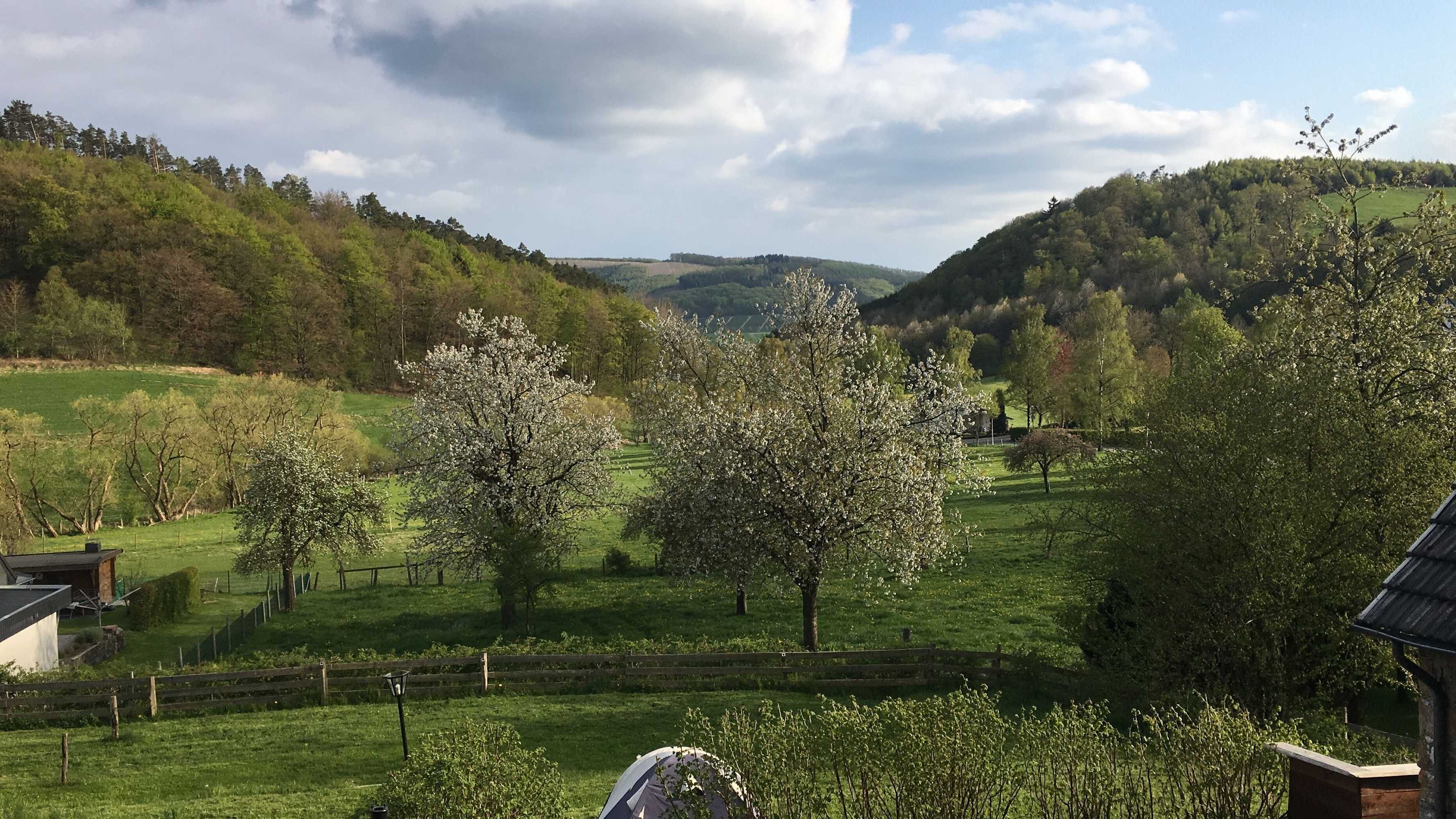 Gift card for Gasthof Feische