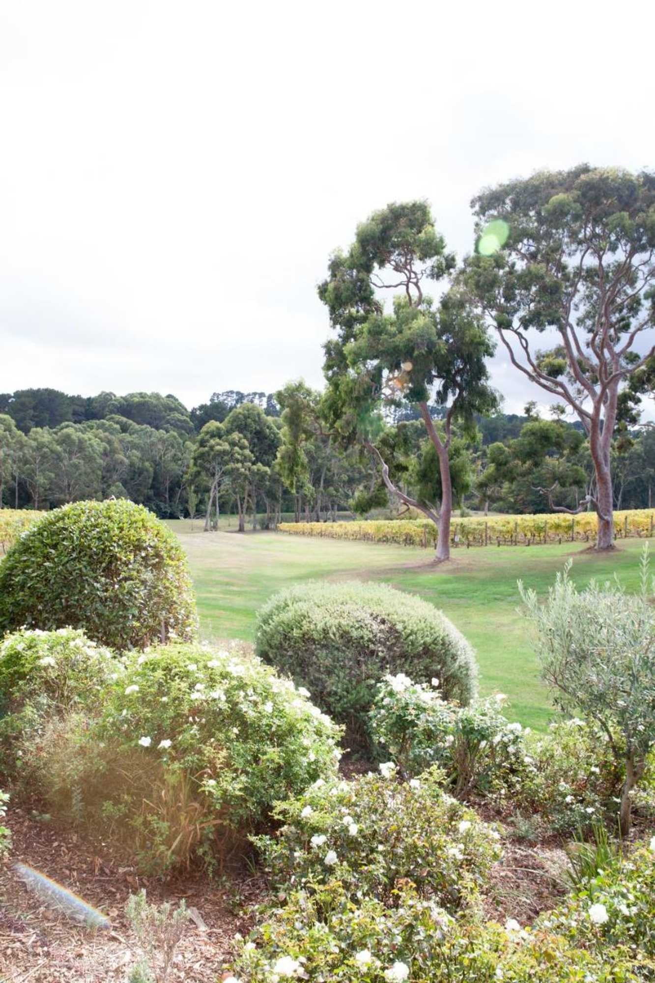 Gift card for Polperro Villas