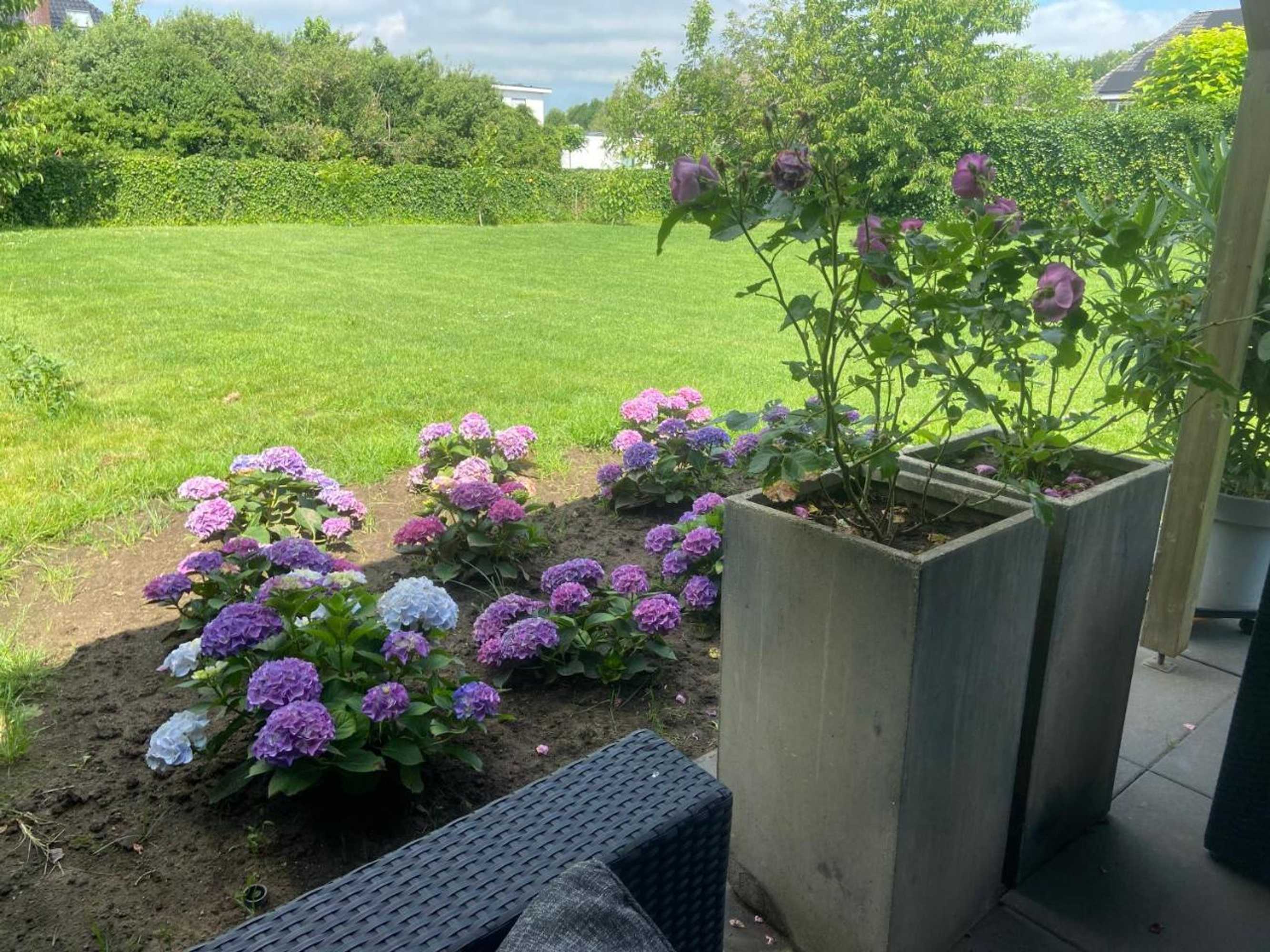 Gift card for Nancy in Holland