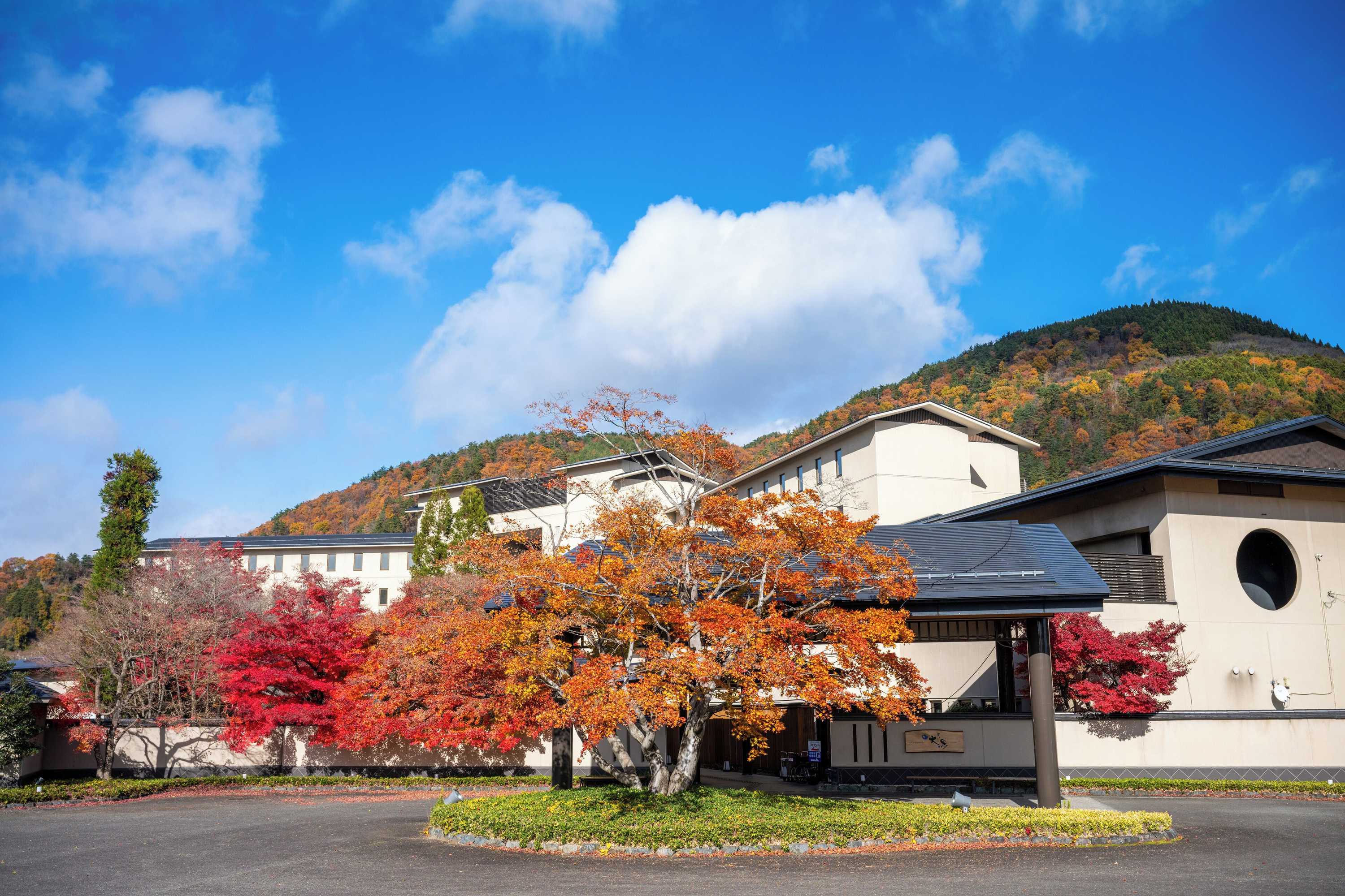 Gift card for Surikamitei Ohtori