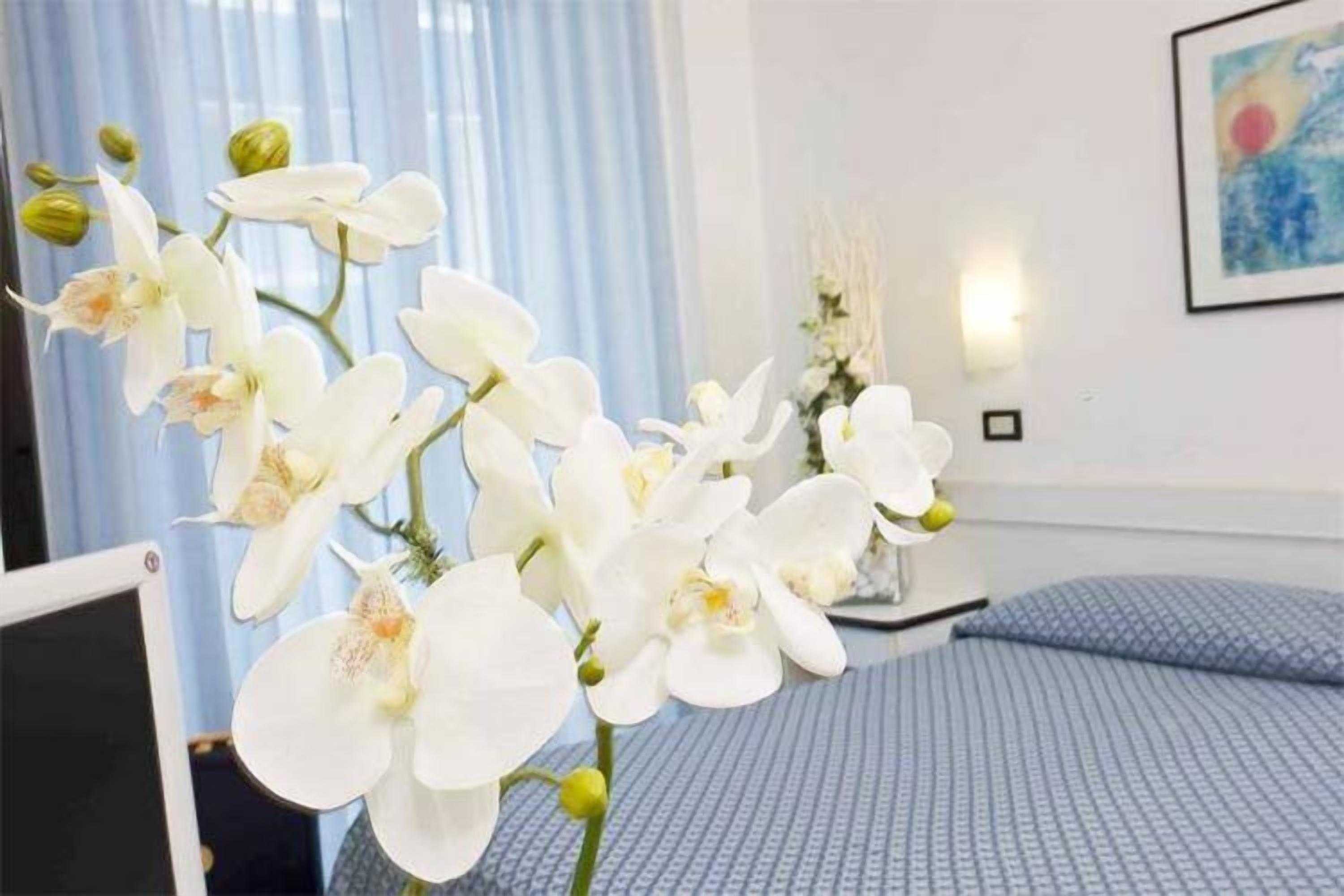 Gift card for Hotel Elite Gift card for Hotel Elite