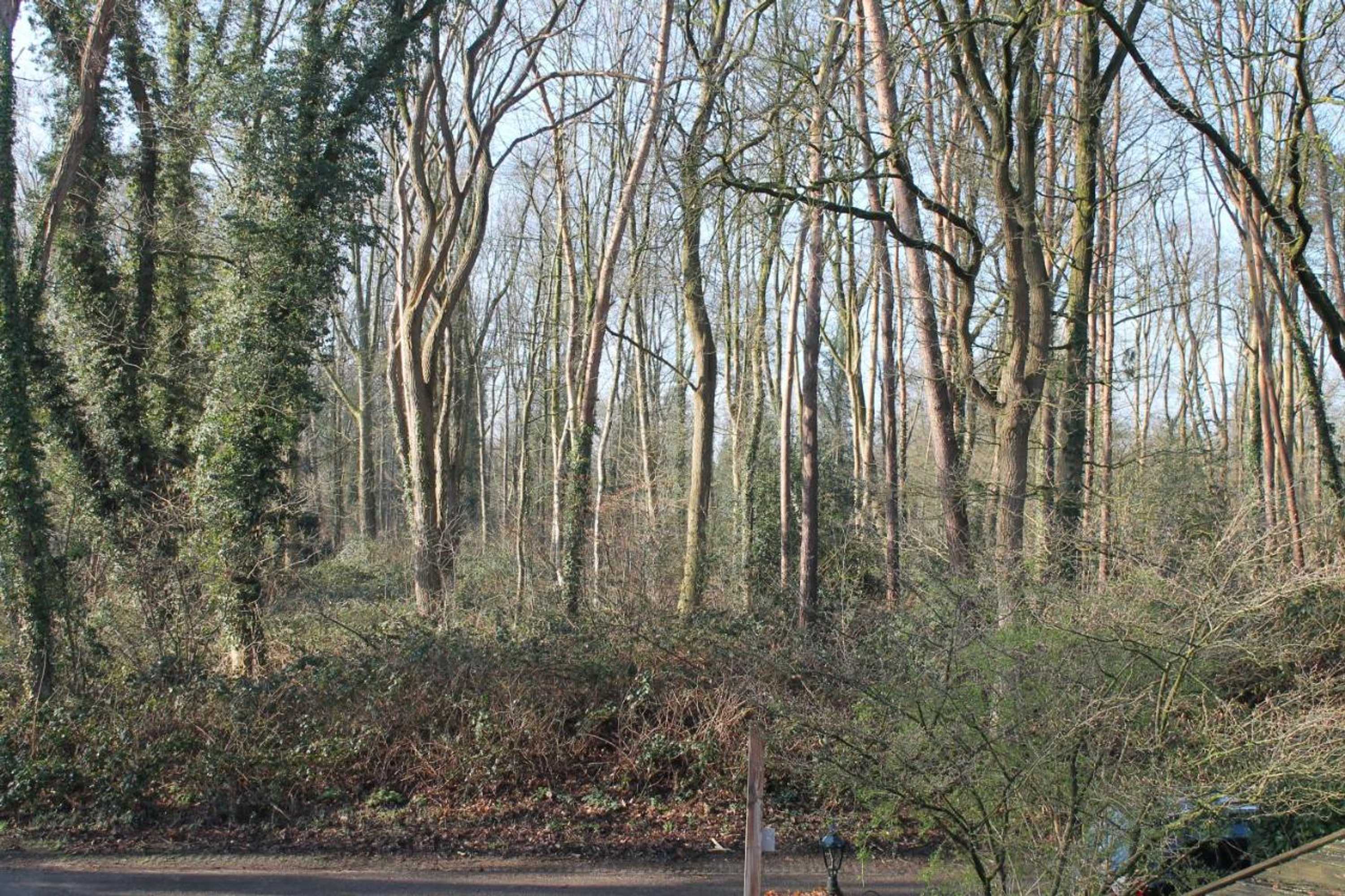 Gift card for Gastenverblijf Peppelmate