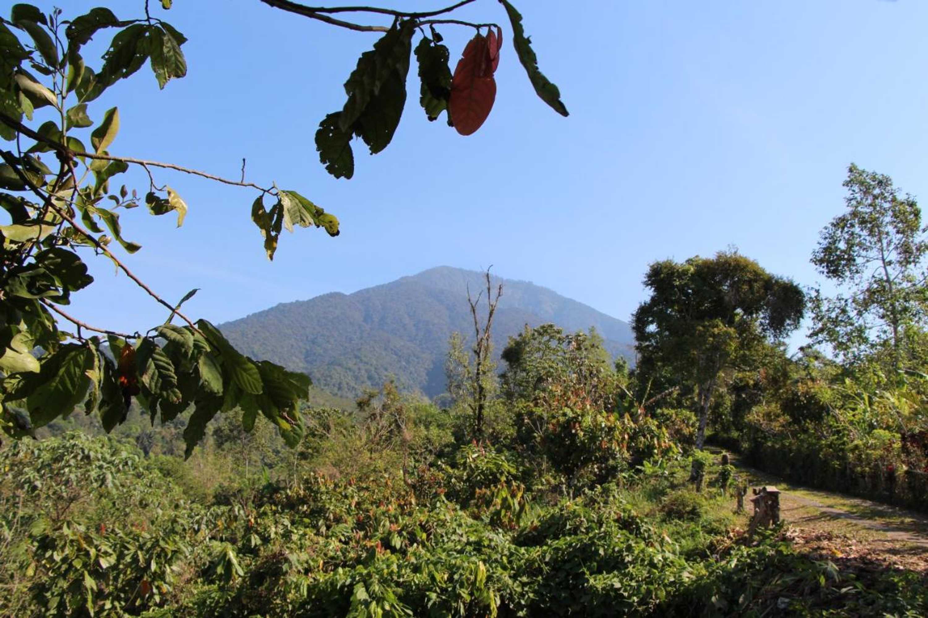 Gift card for Bali Lush