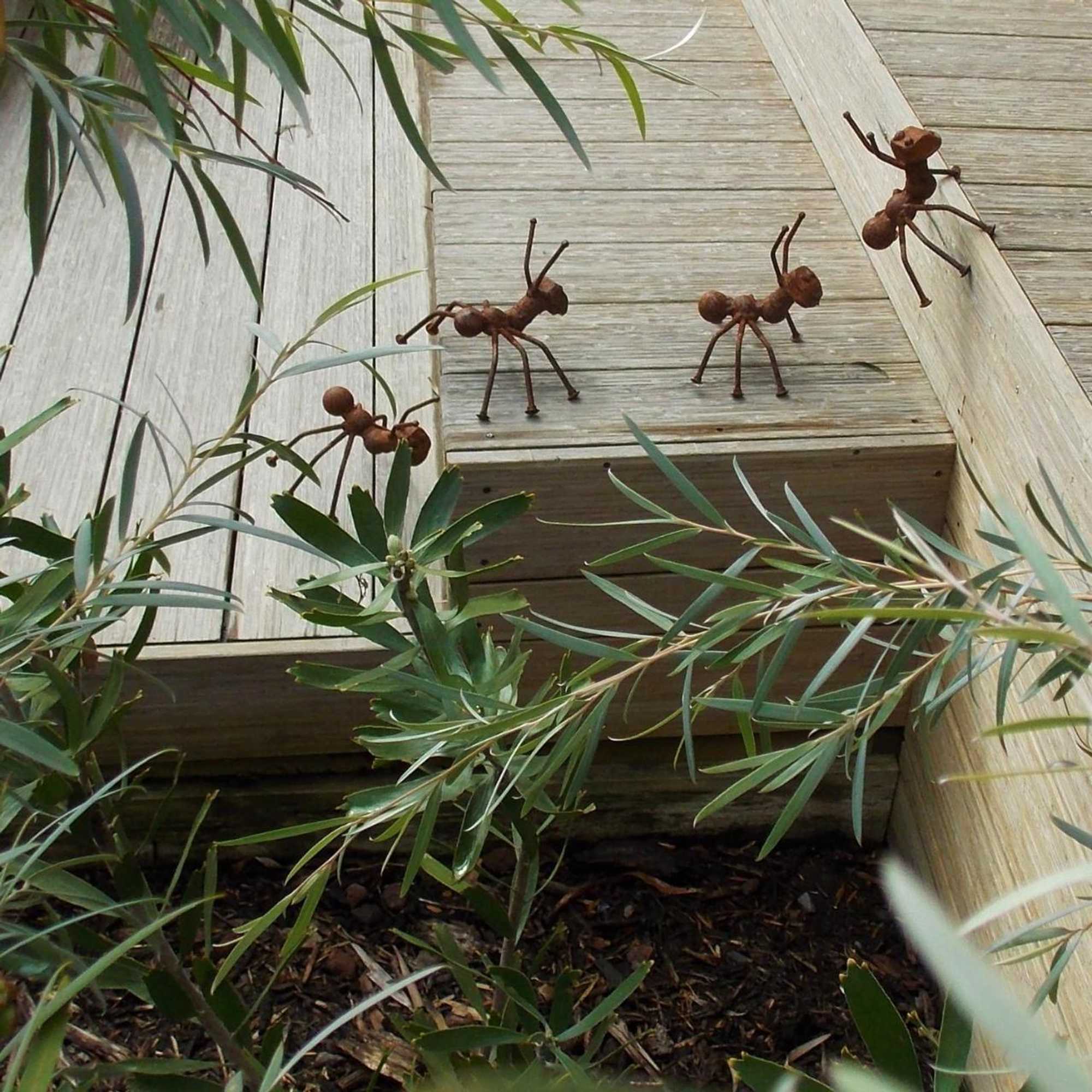 Gift card for Port Mccrae