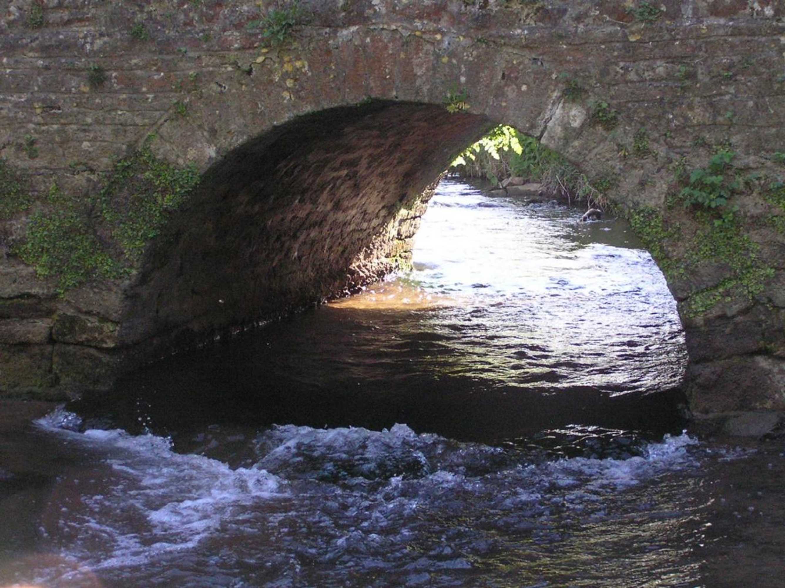 Gift card for The Vobster Inn Gift card for The Vobster Inn