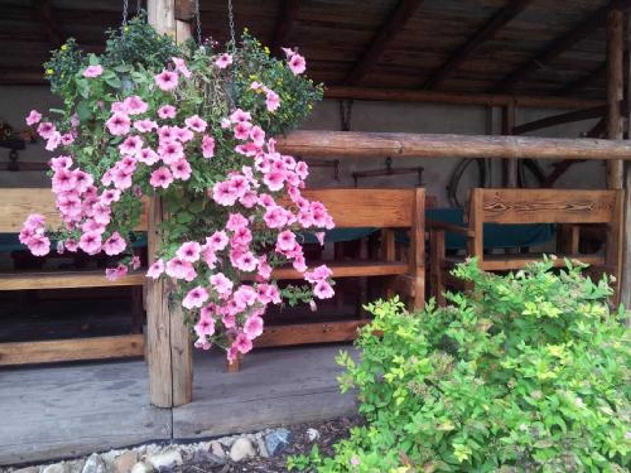Gift card for Penzion Piano Ranch Gift card for Penzion Piano Ranch