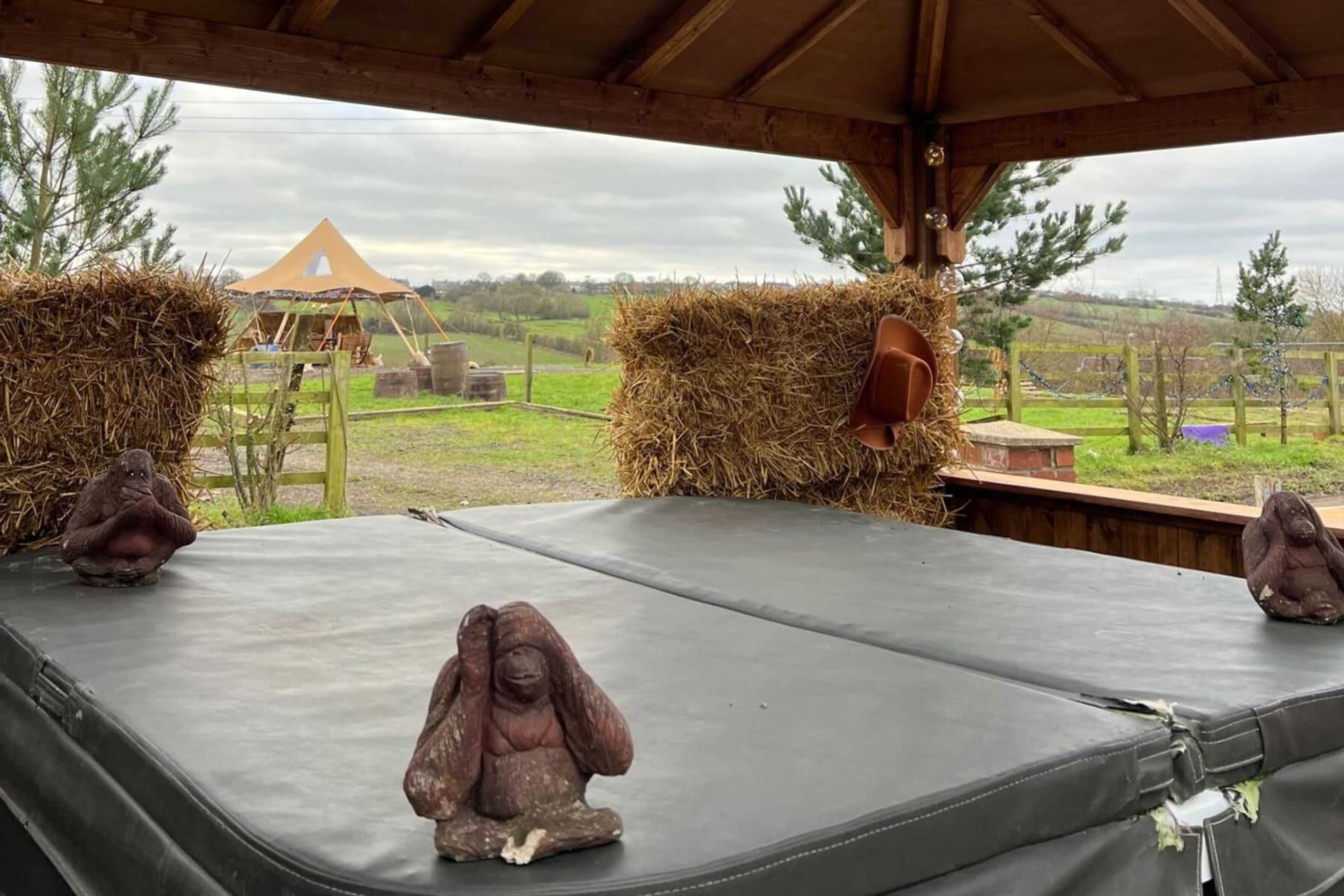 Gift card for Starshinezzz - Large Farmhouse County Durham