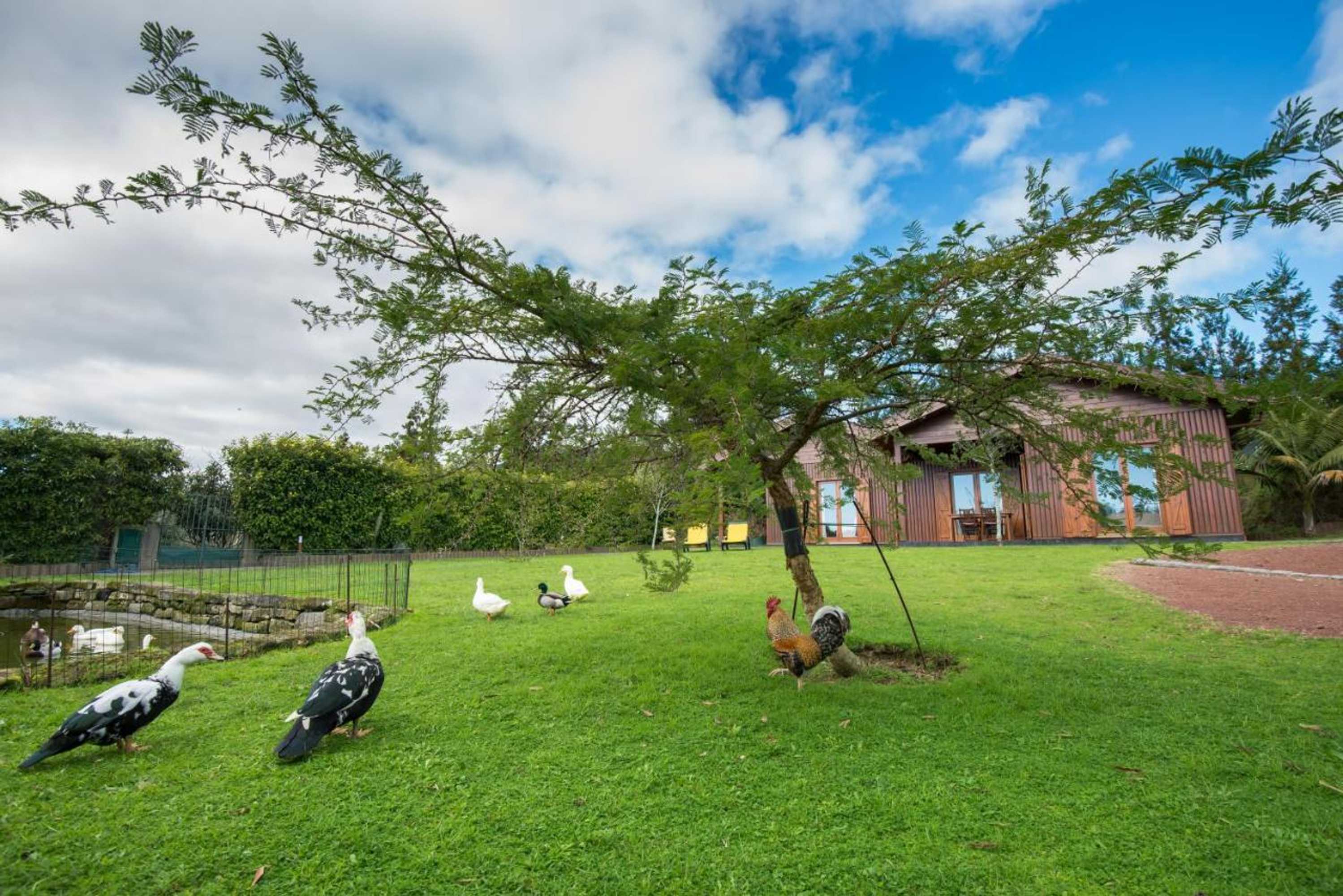 Gift card for Quinta Dos Curubas