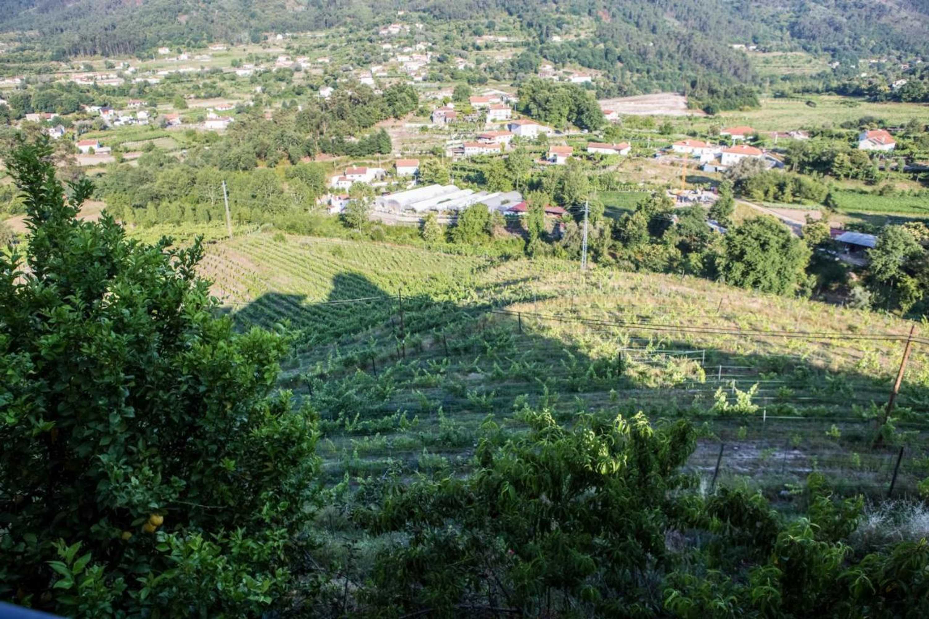 Gift card for Quinta da Mata