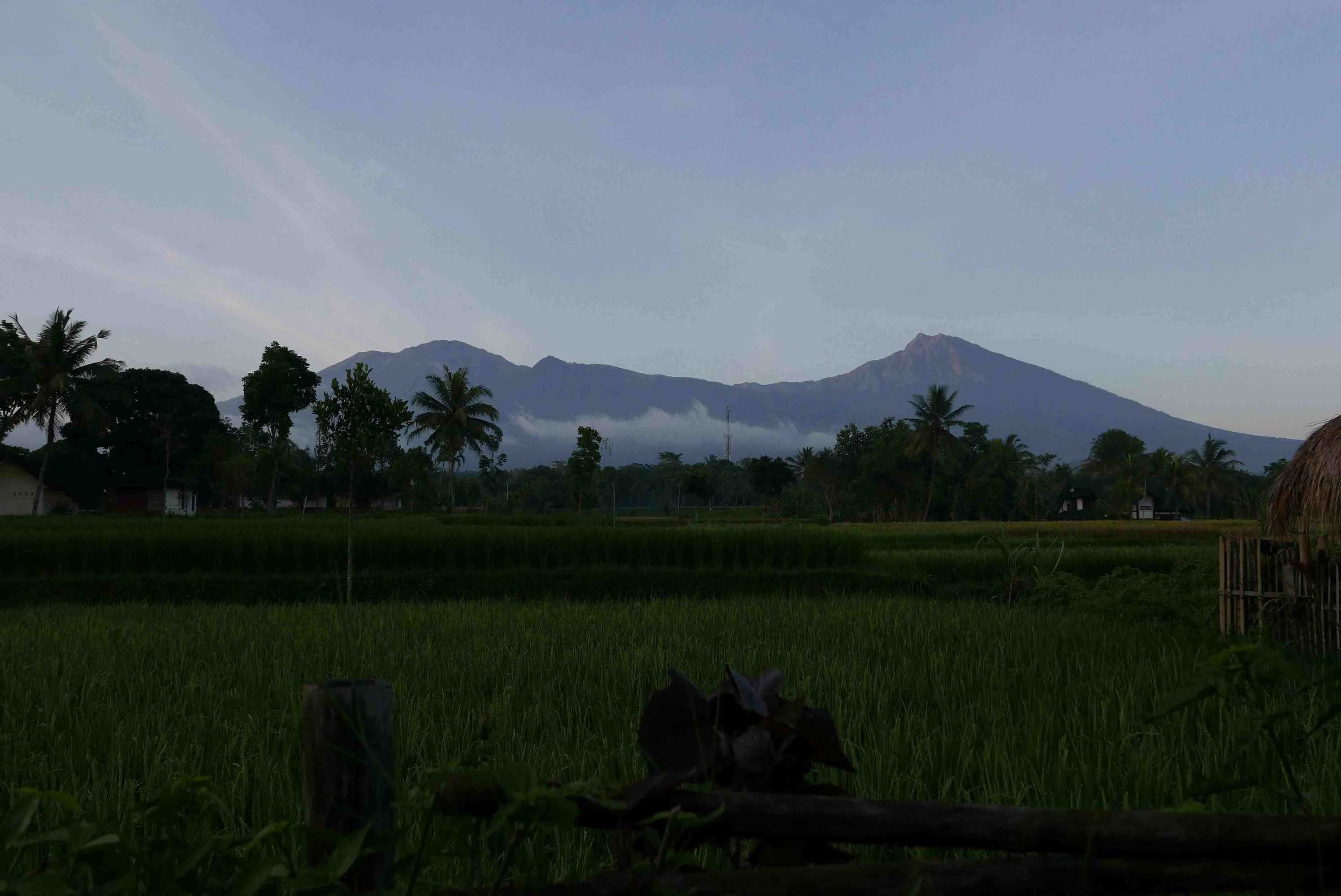 Gift card for Cahaya Tetebatu Inn