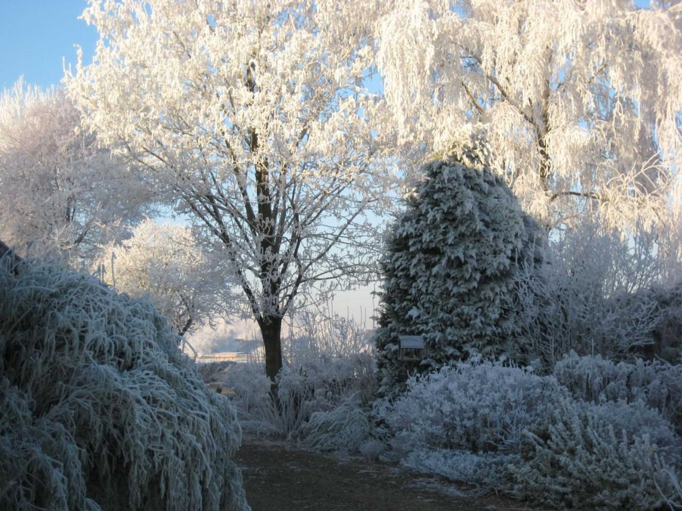 Gift card for B&b Het Uilennest