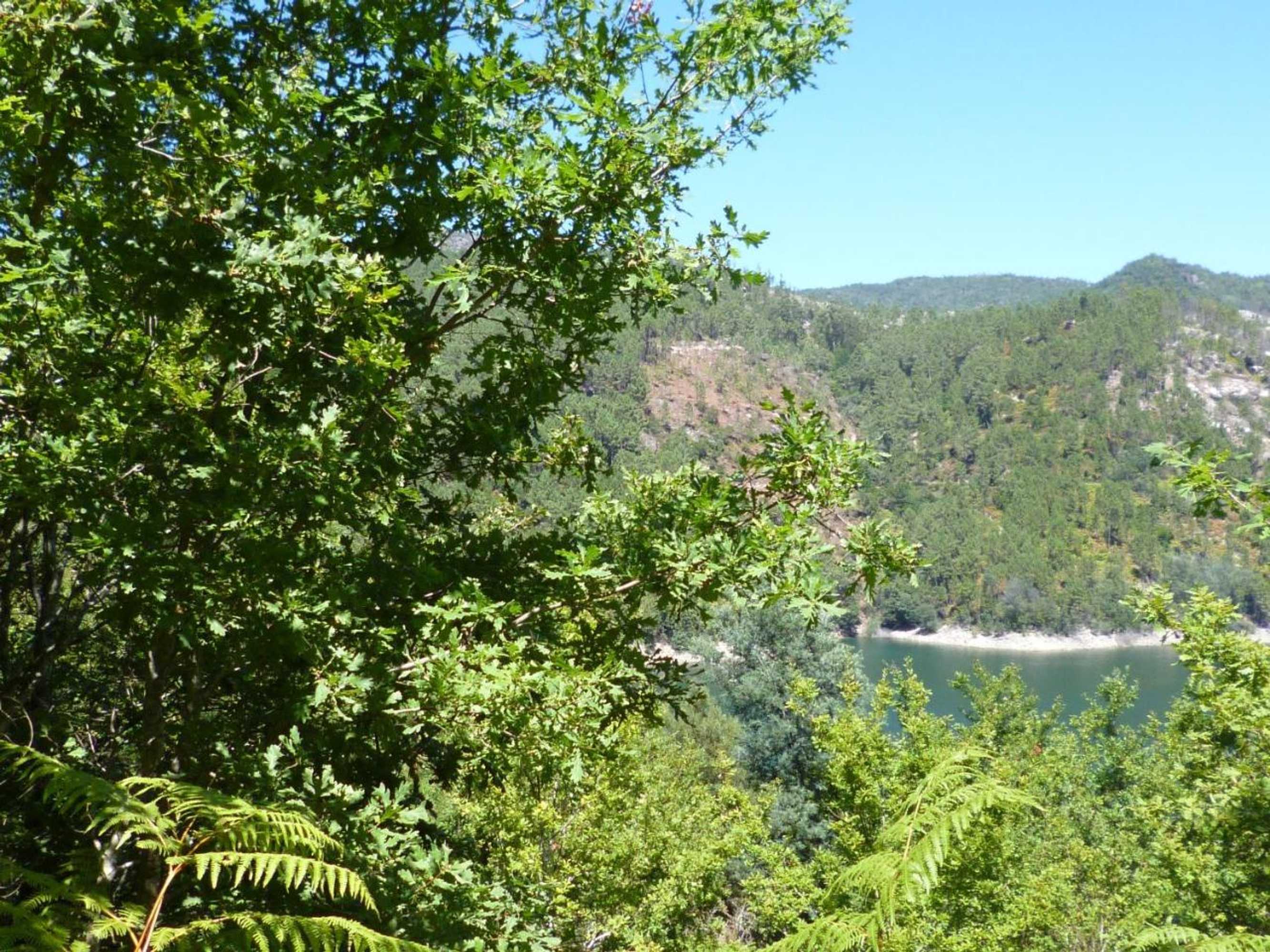 Gift card for Casa da Loja